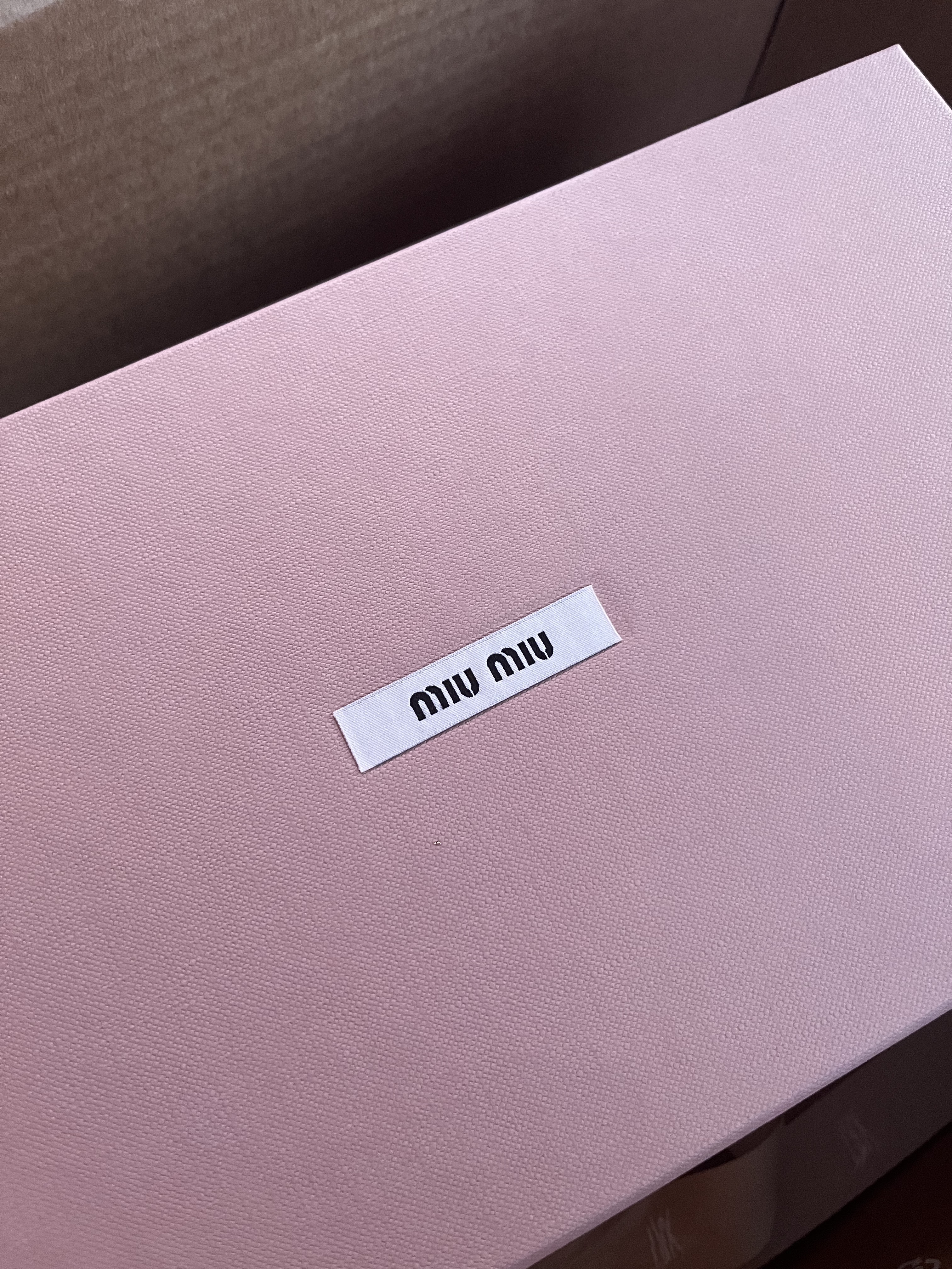 (W) Miu Miu Satin Ballerinas White 착용 스타일 - 3