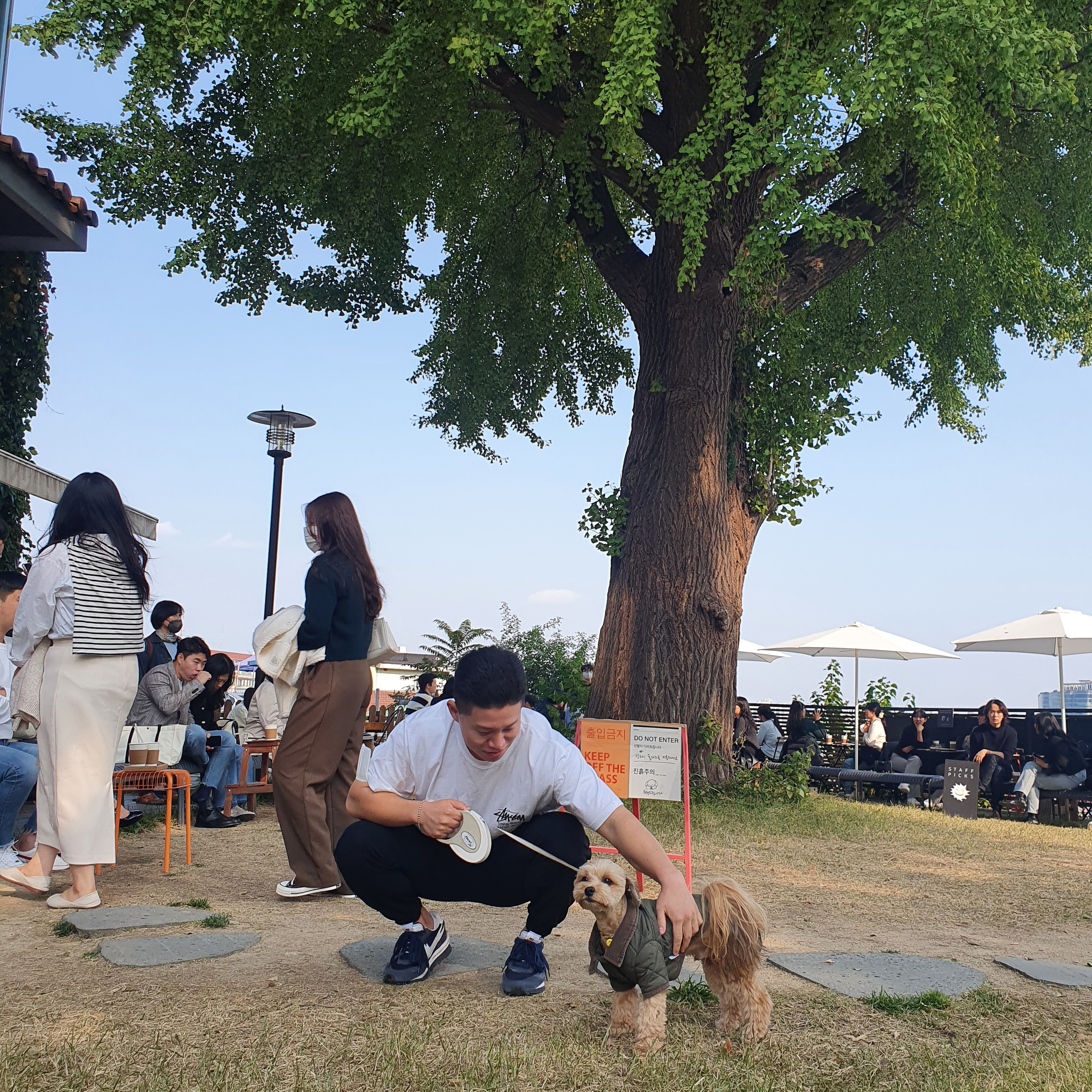 Stussy Stock DSM London T-Shirt White, Nike x Sacai x Fragment LDWaffle Blackened Blue 착용 스타일 - 2