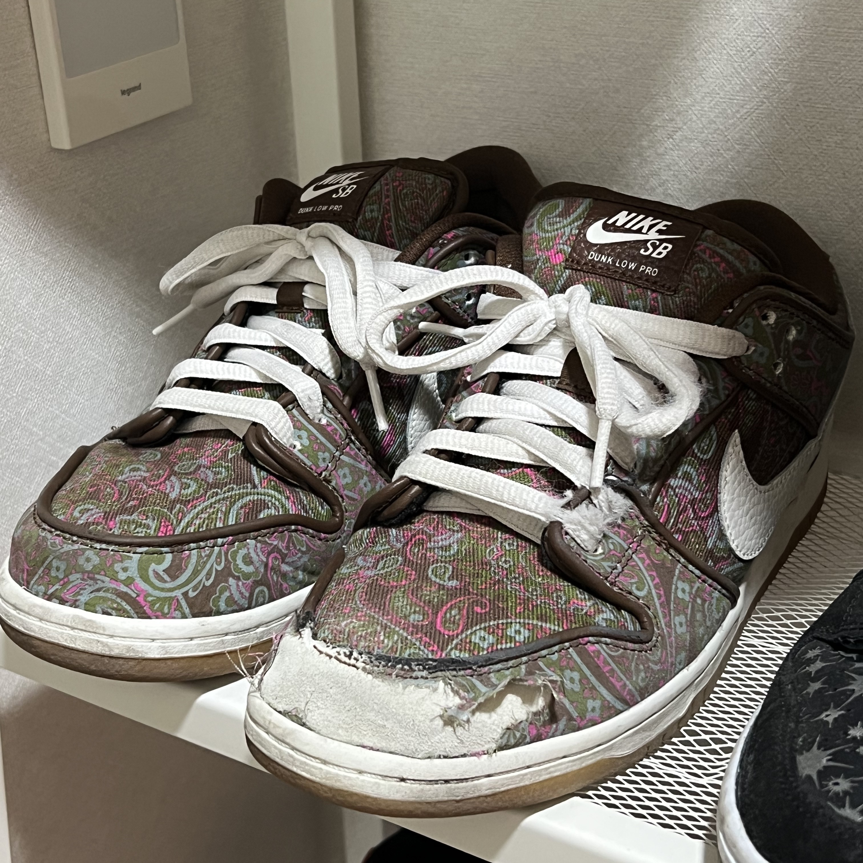 Nike SB Dunk Low Pro Premium Paisley 착용 스타일