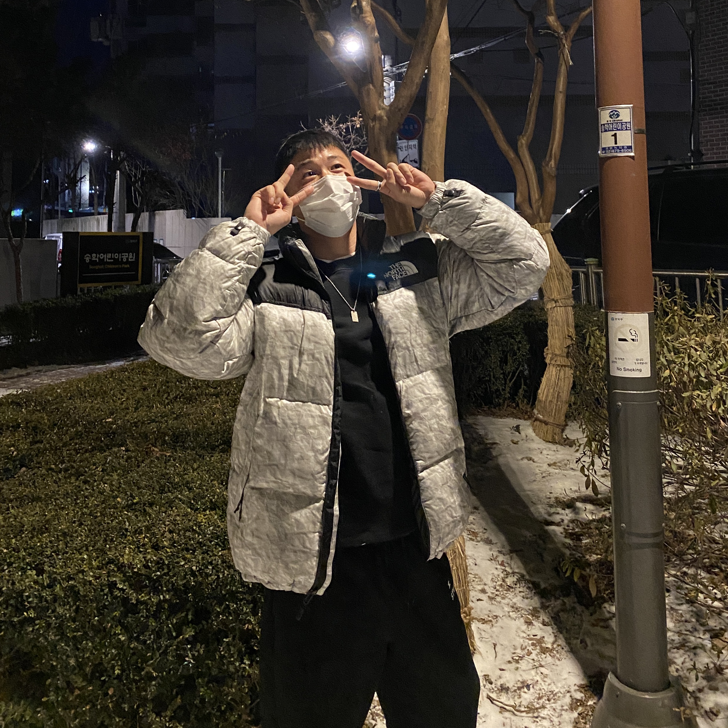 Supreme x The North Face Paper Print Nuptse Jacket - 19FW 착용 스타일