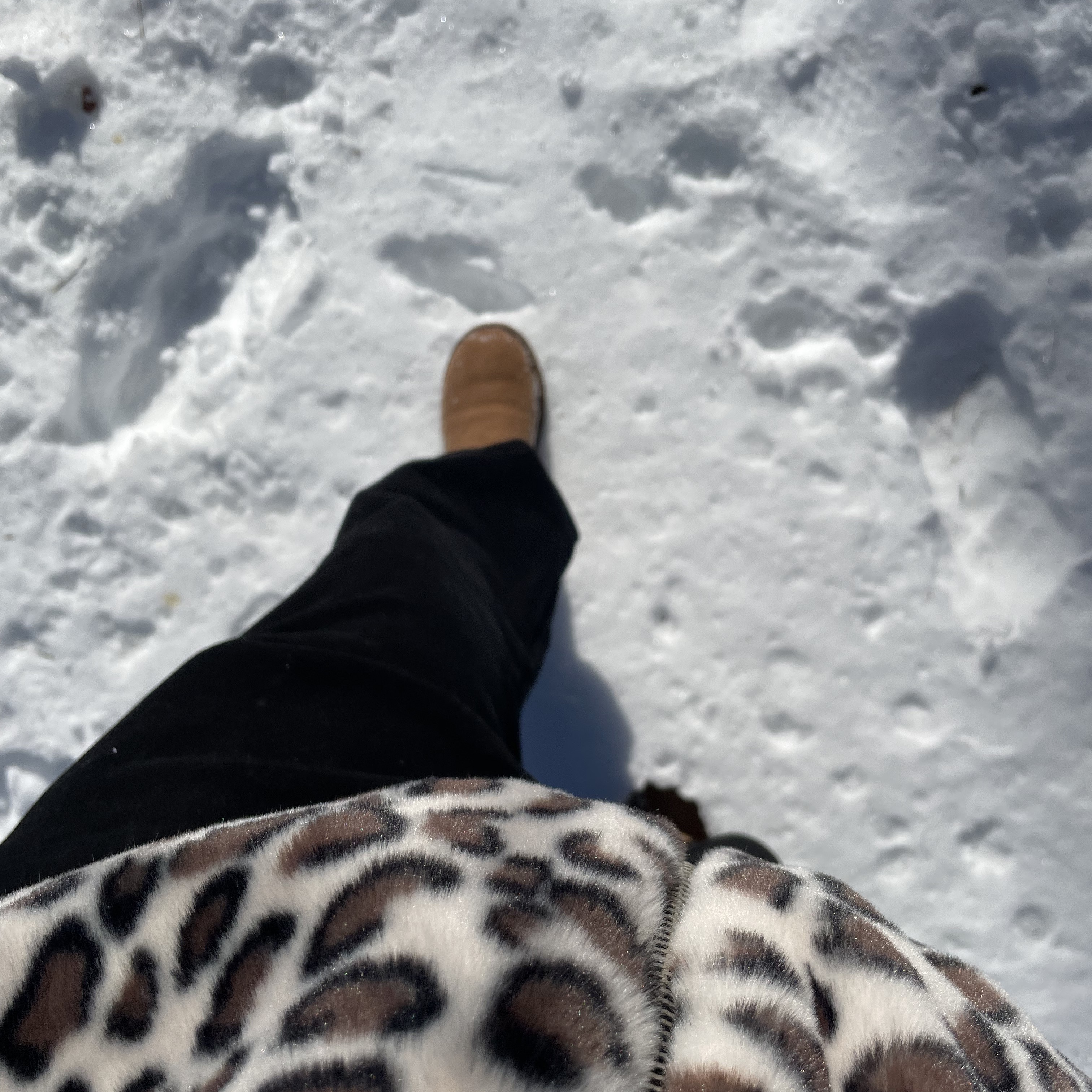 UGG Classic Mini Boots Chestnut 착용 스타일 - 2