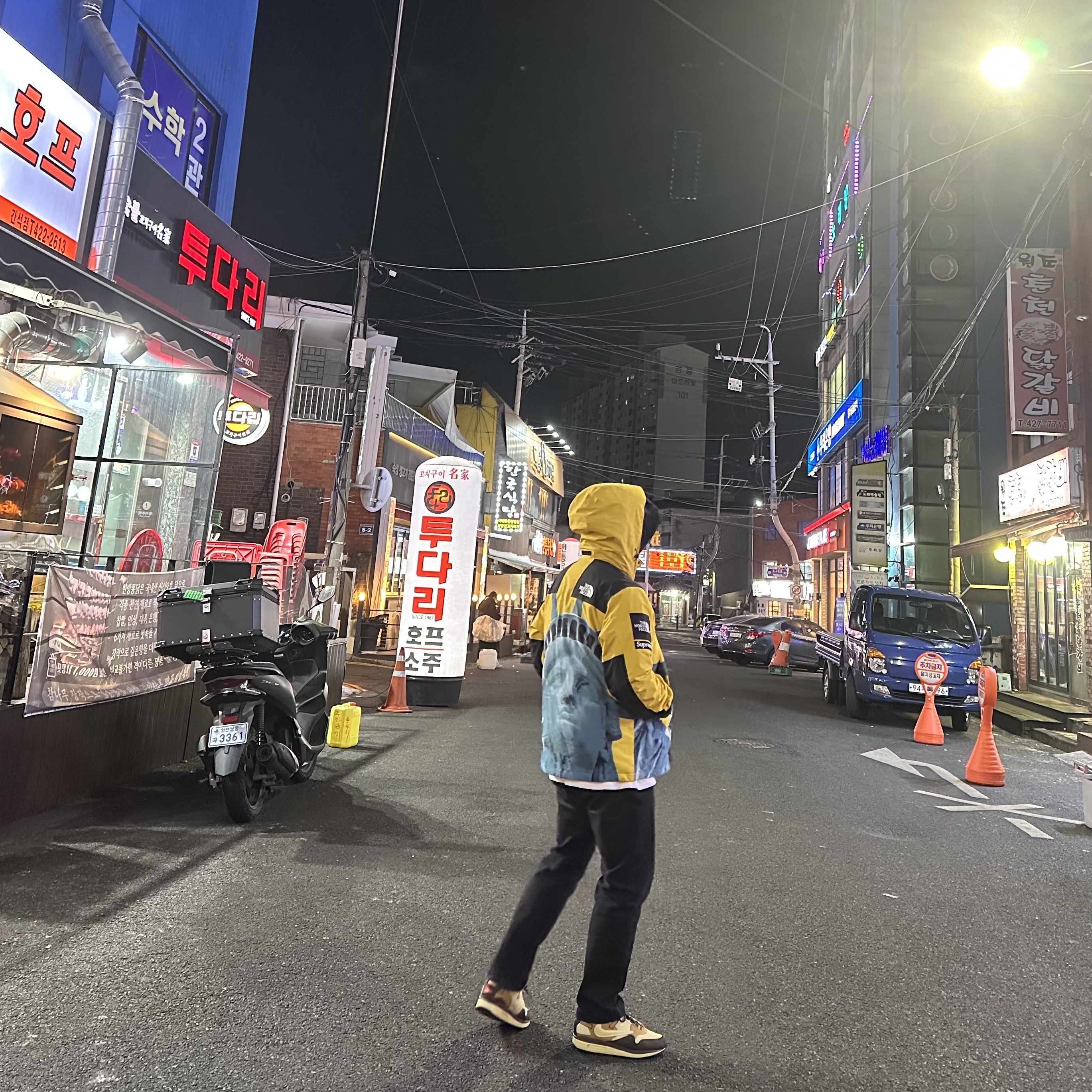 Supreme x The North Face Statue of Liberty Mountain Jacket Yellow - 19FW, Nike x Travis Scott Air Max 1 Cact.us Brown 착용 스타일 - 2