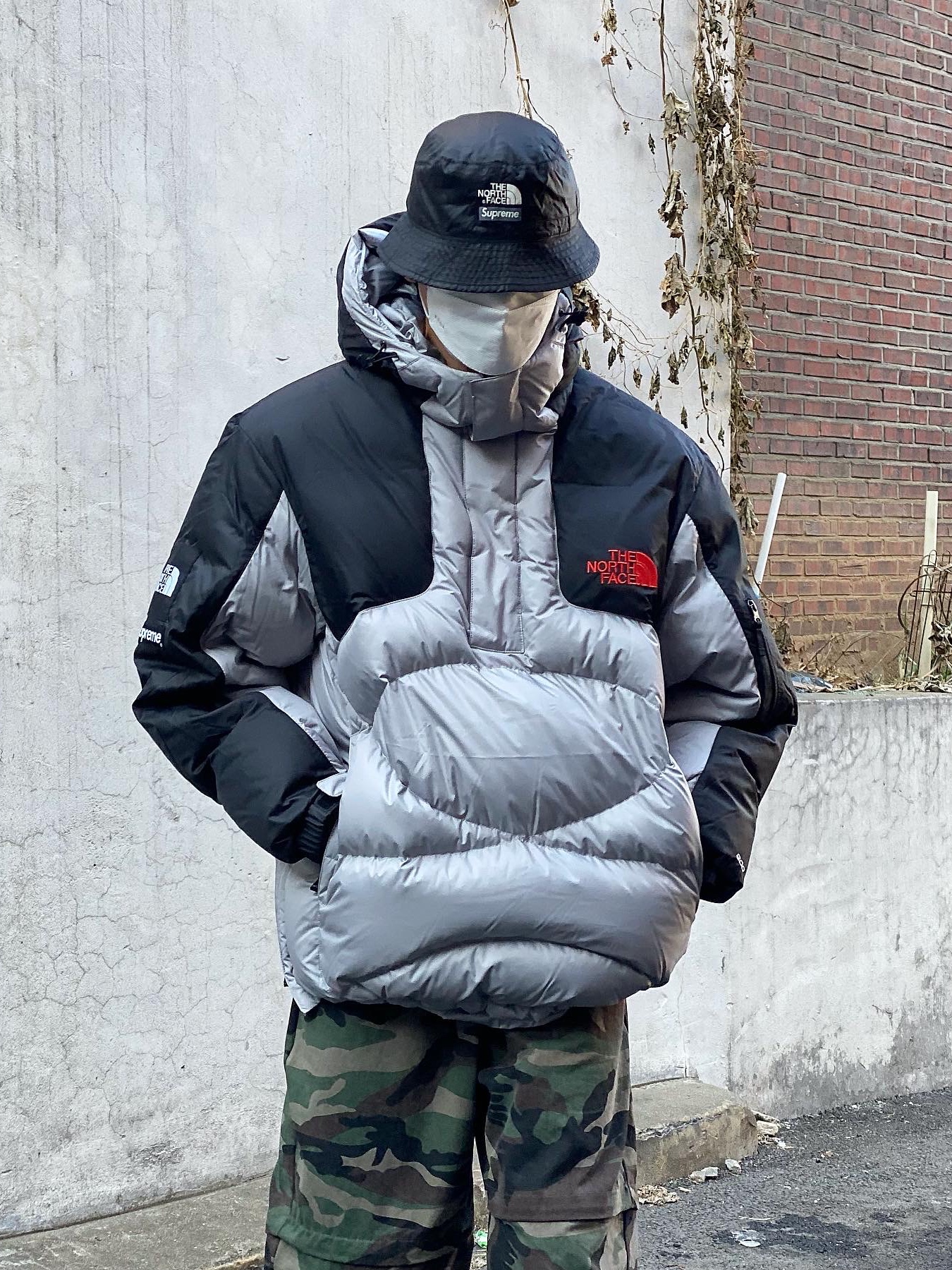 Supreme x The North Face 800-Fill Half Zip Hooded Pullover Grey - 22FW, Supreme x The North Face Snakeskin Packable Reversible Crusher Black - 18SS 착용 스타일 - 5