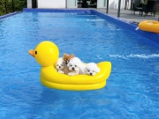 KREAM 프로필 이미지