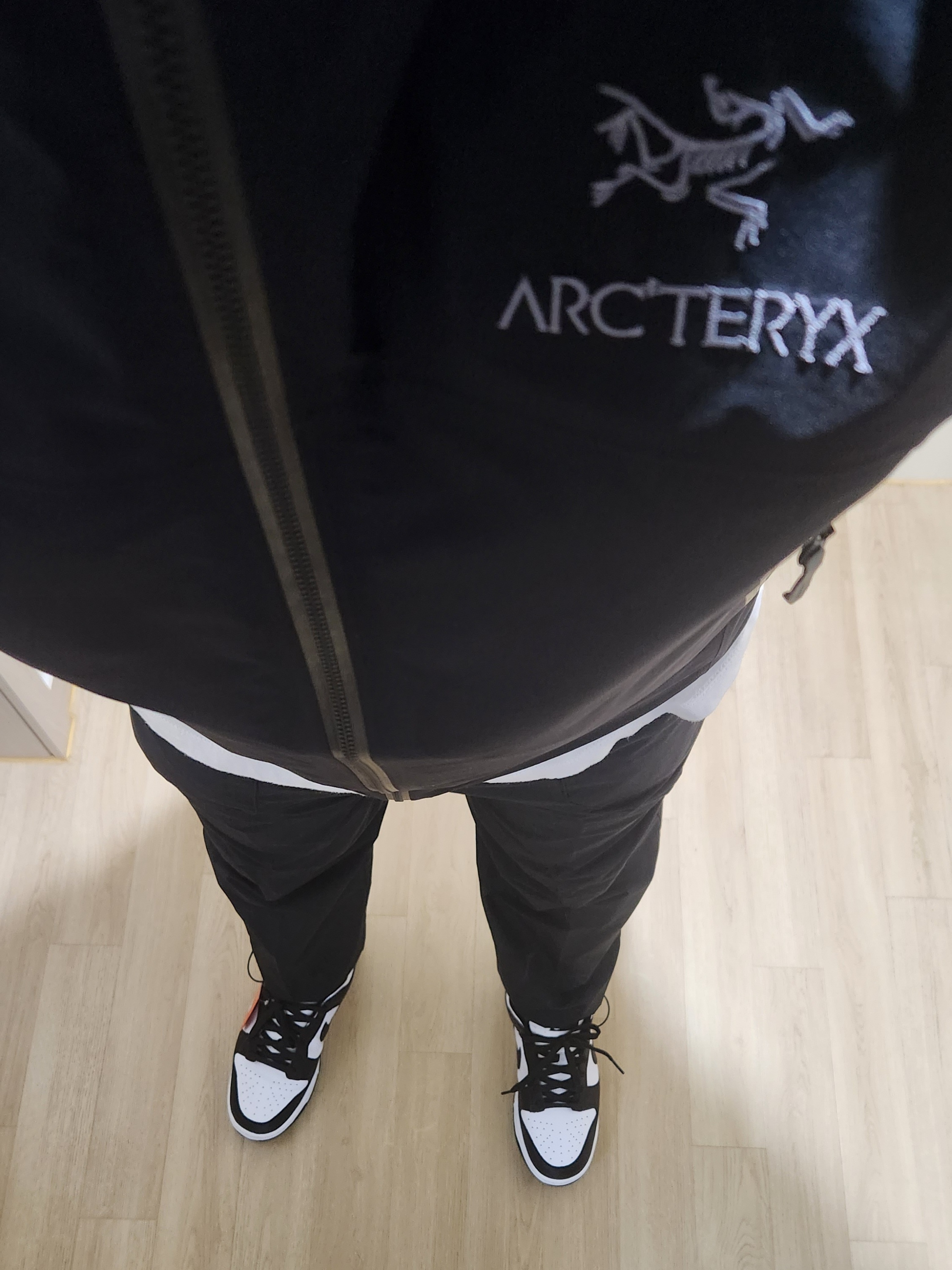 Nike Dunk Low Retro Black, Arc'teryx Beta Jacket Black 착용 스타일 - 1