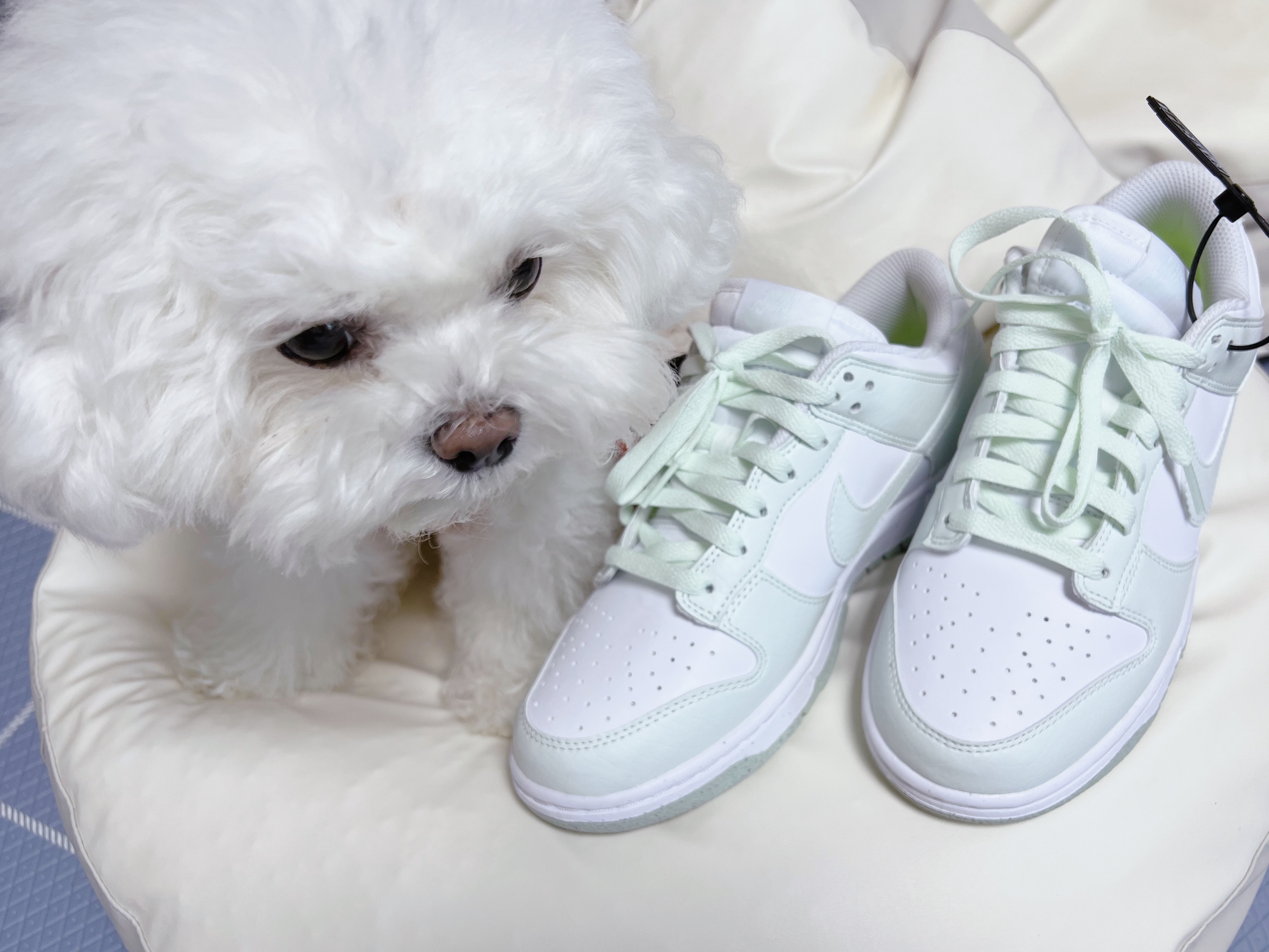 (W) Nike Dunk Low Next Nature Barely Green and White 착용 스타일 - 1