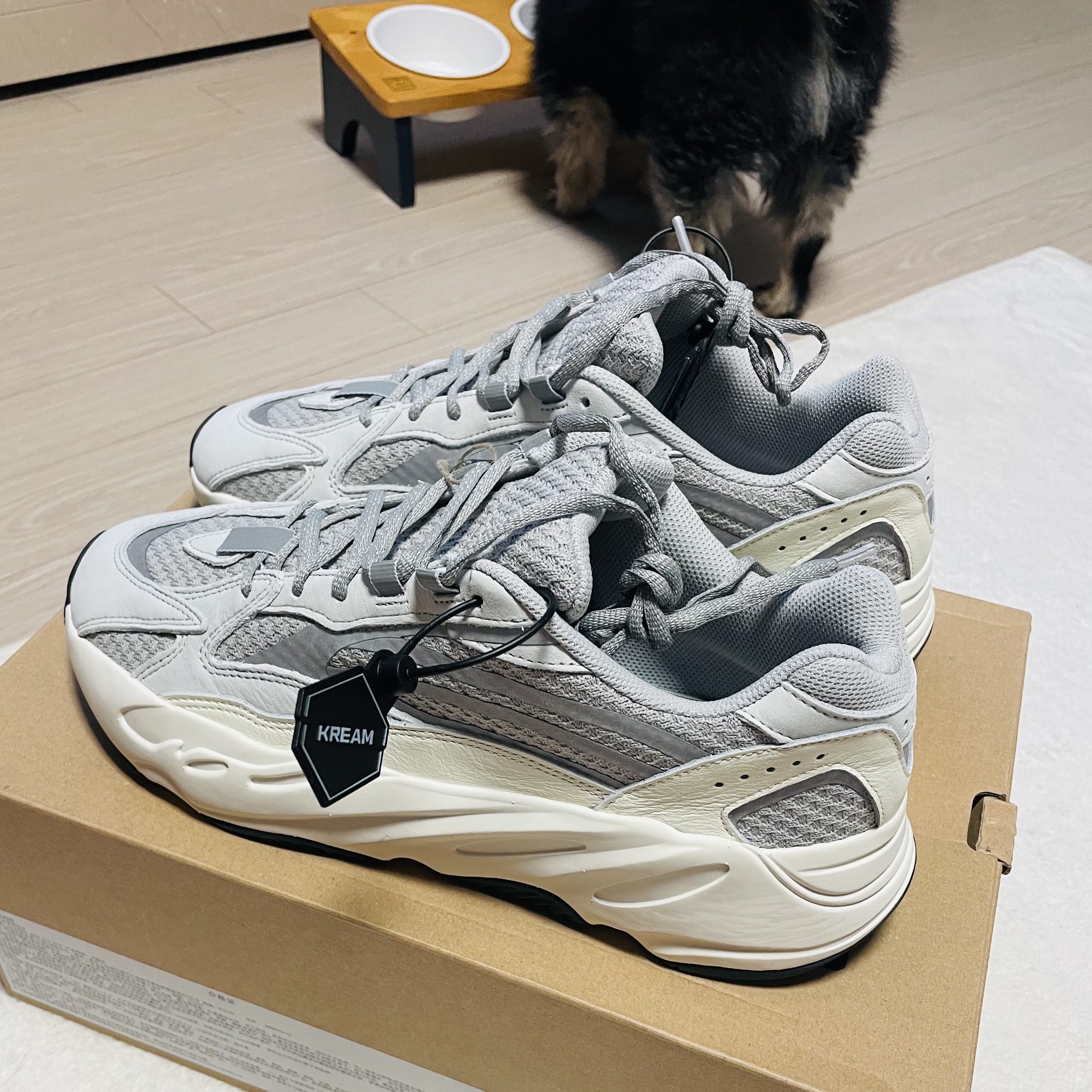 Adidas Yeezy Boost 700 V2 Static 2022 착용 스타일
