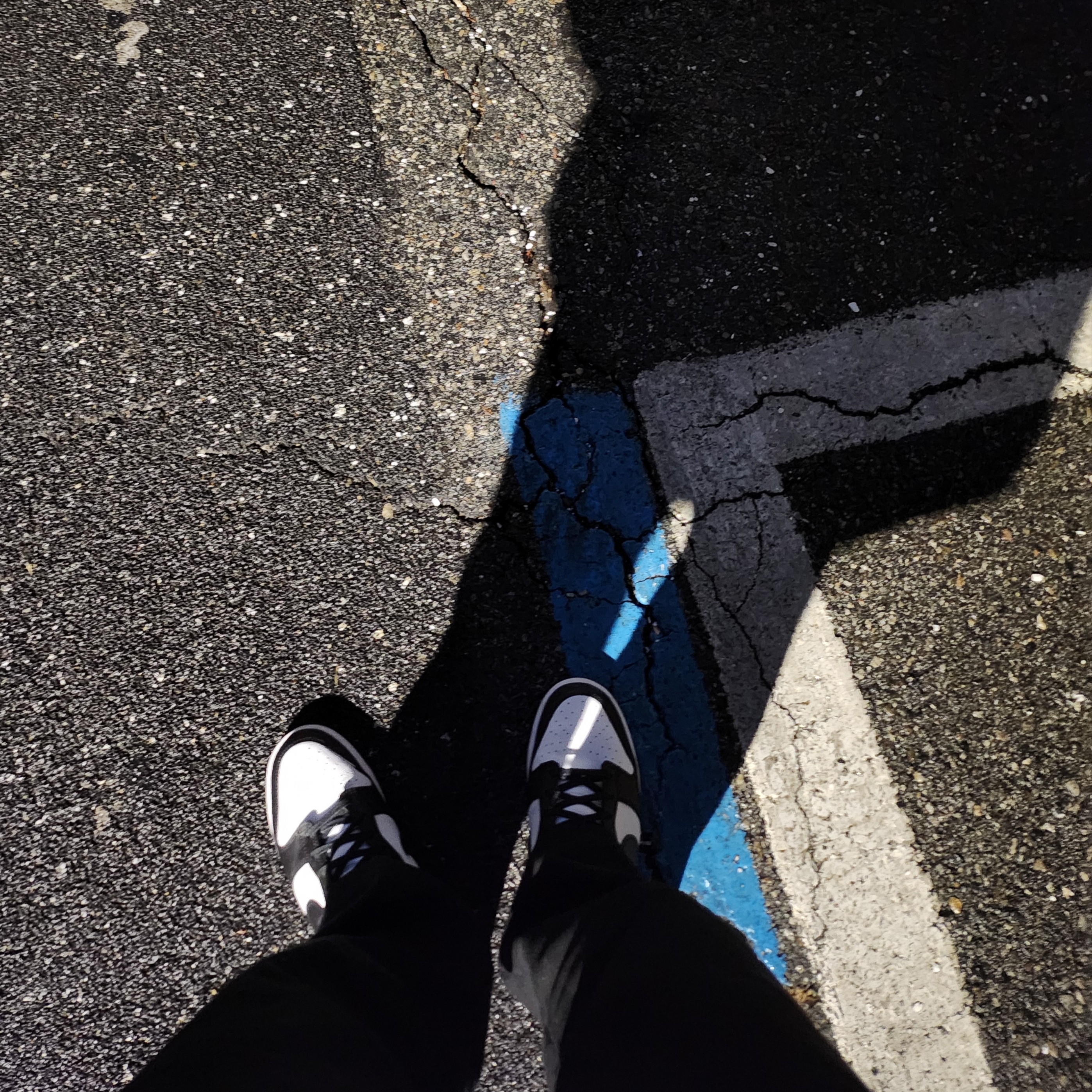 Nike Dunk Low Retro Black 착용 스타일