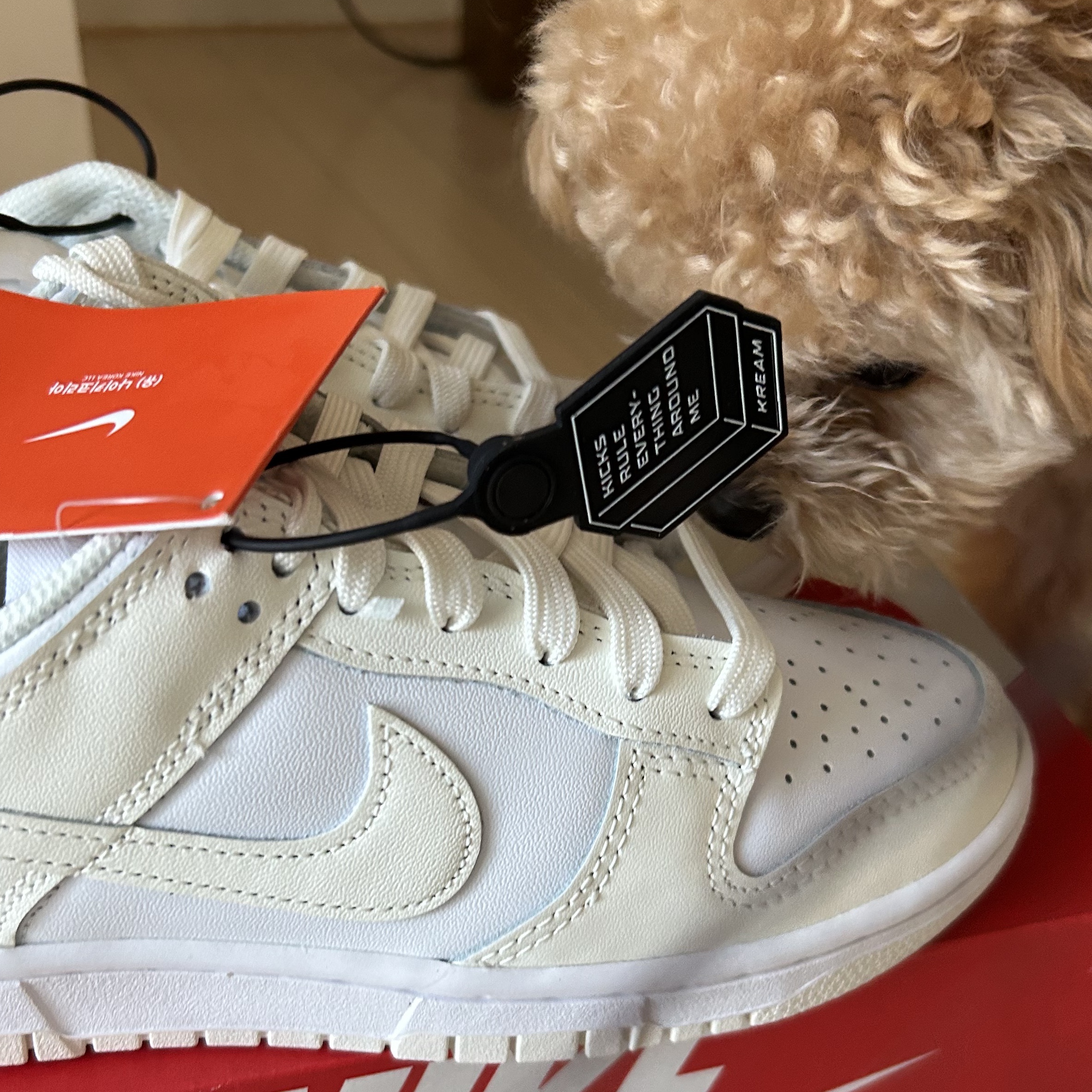 (W) Nike Dunk Low White and Sail 착용 스타일