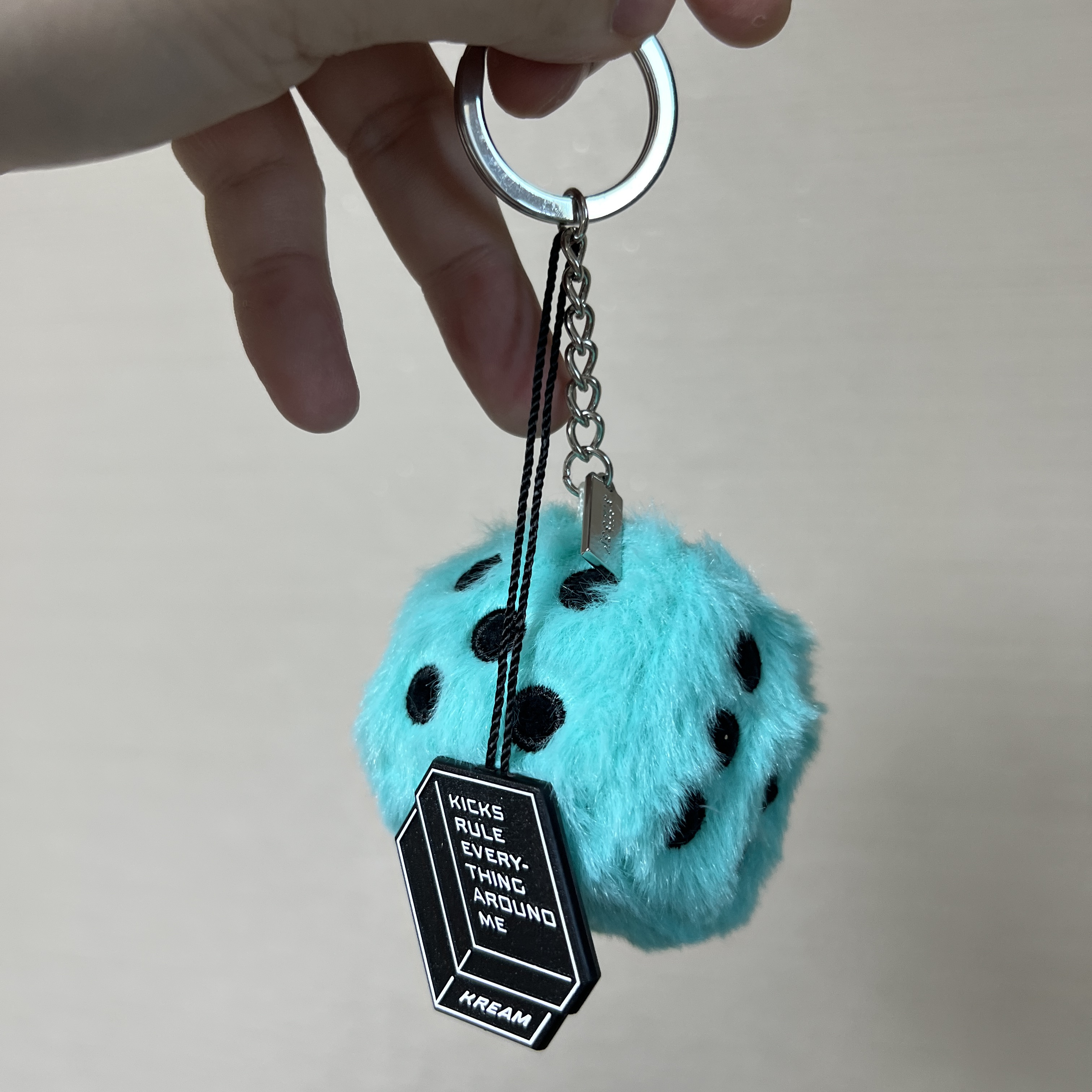Stussy Fuzzy Dice Keychain Teal 착용 스타일