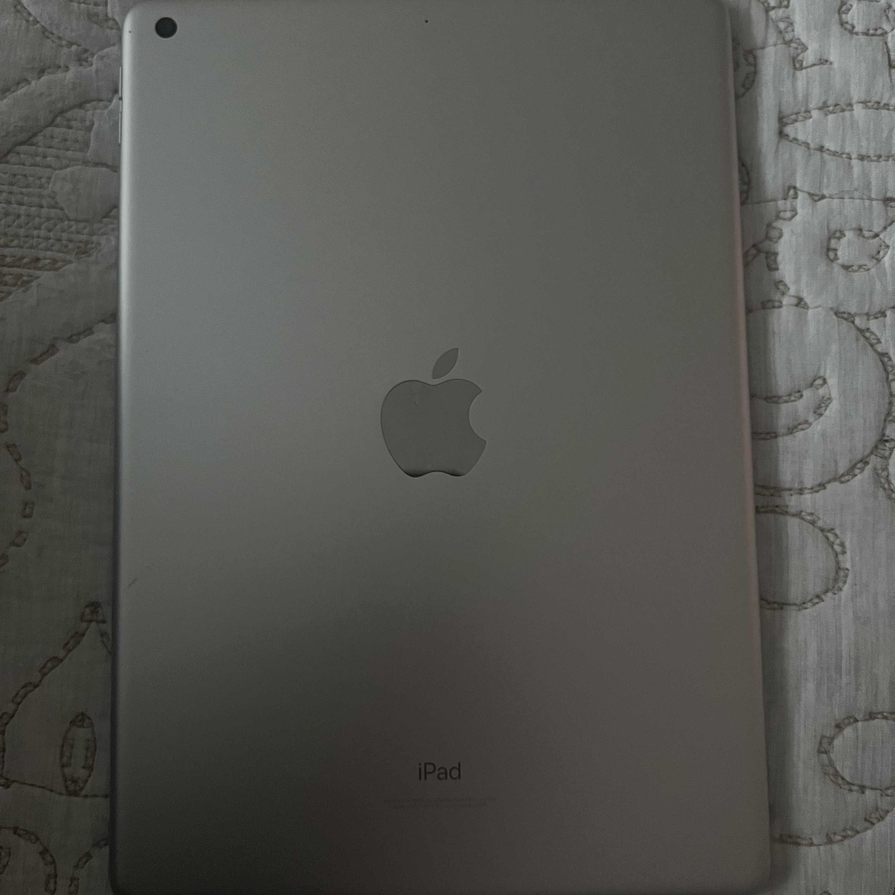 Apple iPad 9th Gen Wifi 64GB Silver (Korean Ver.) 착용 스타일