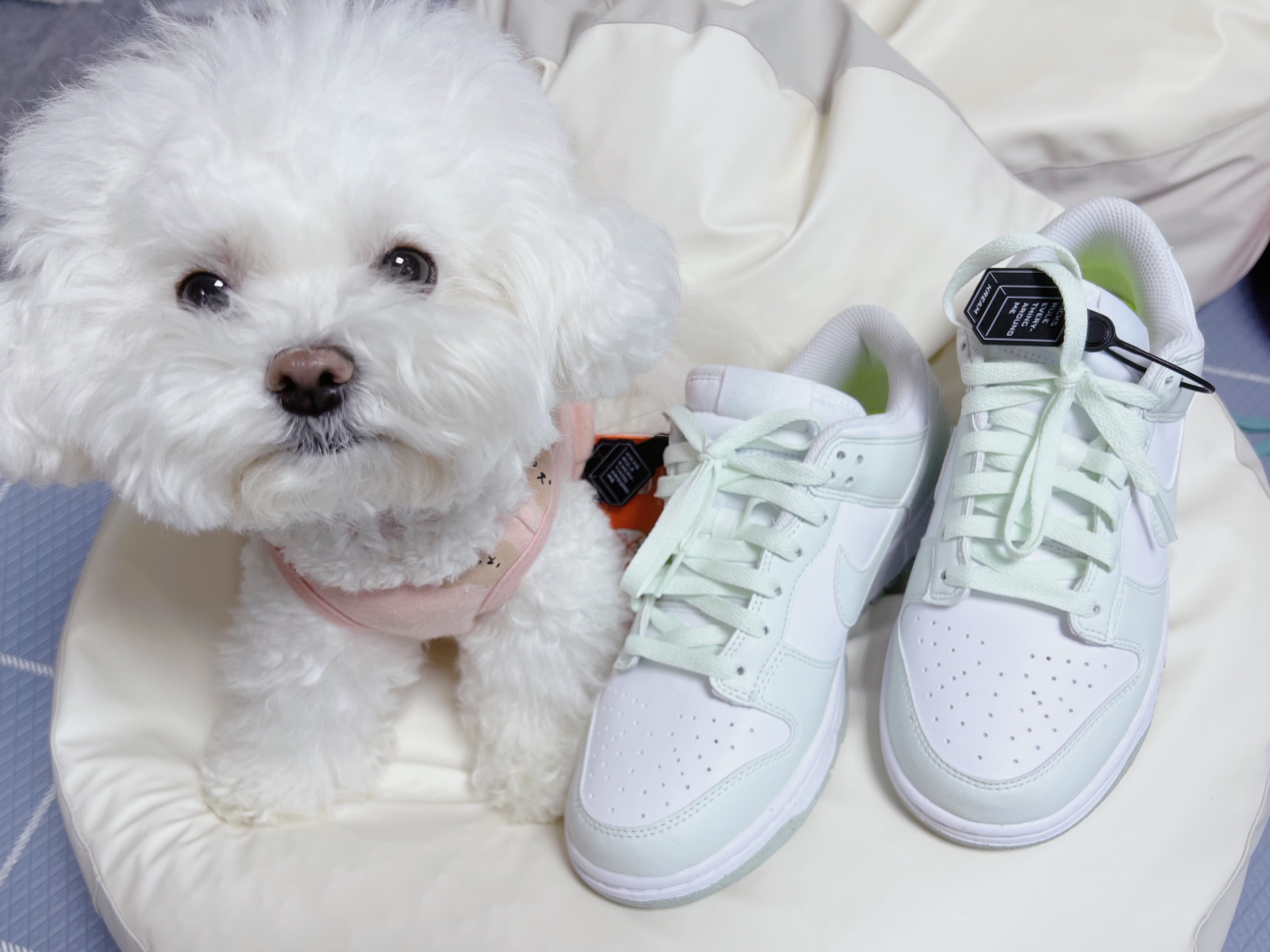 (W) Nike Dunk Low Next Nature Barely Green and White 착용 스타일 - 2
