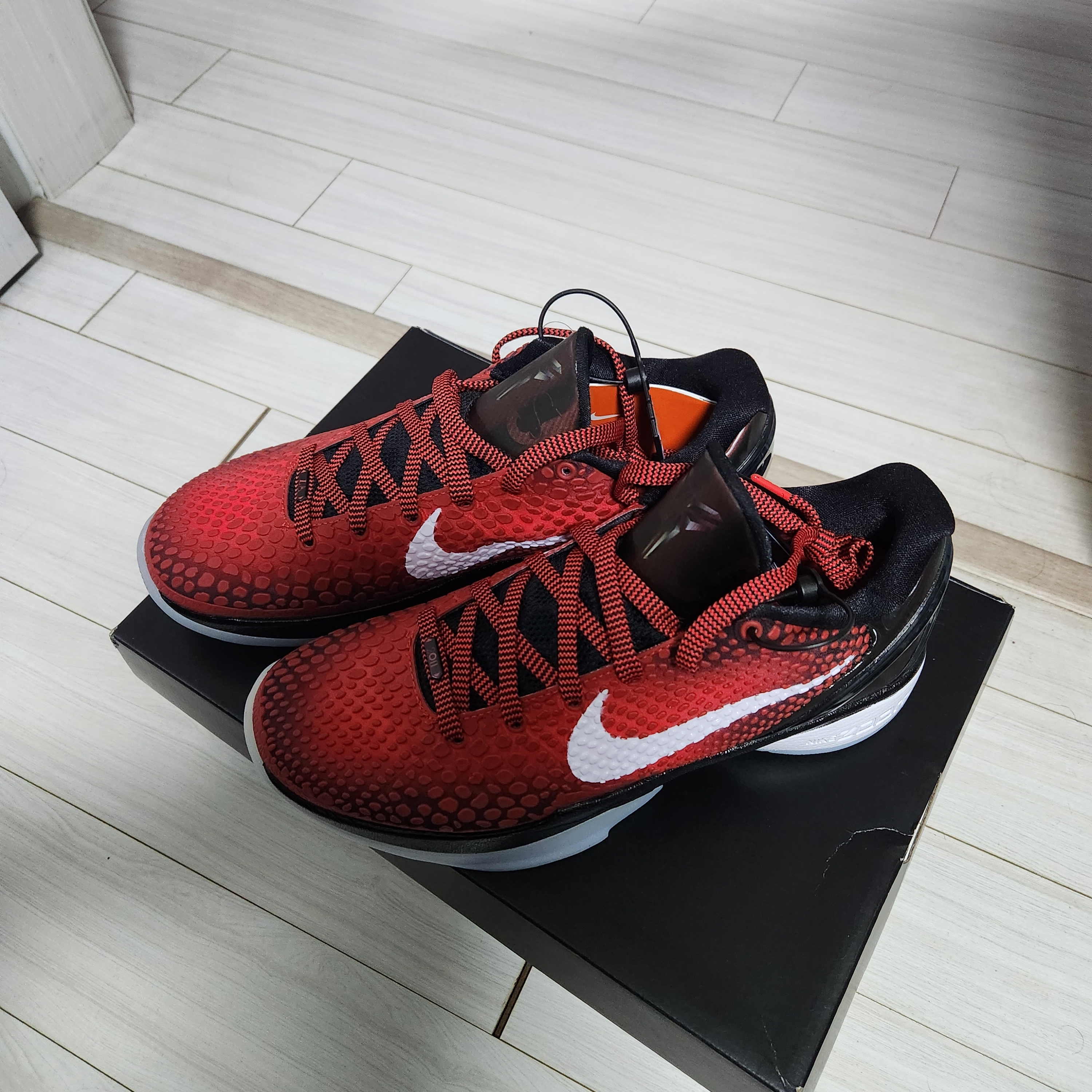 Nike Kobe 6 Protro All-Star 착용 스타일