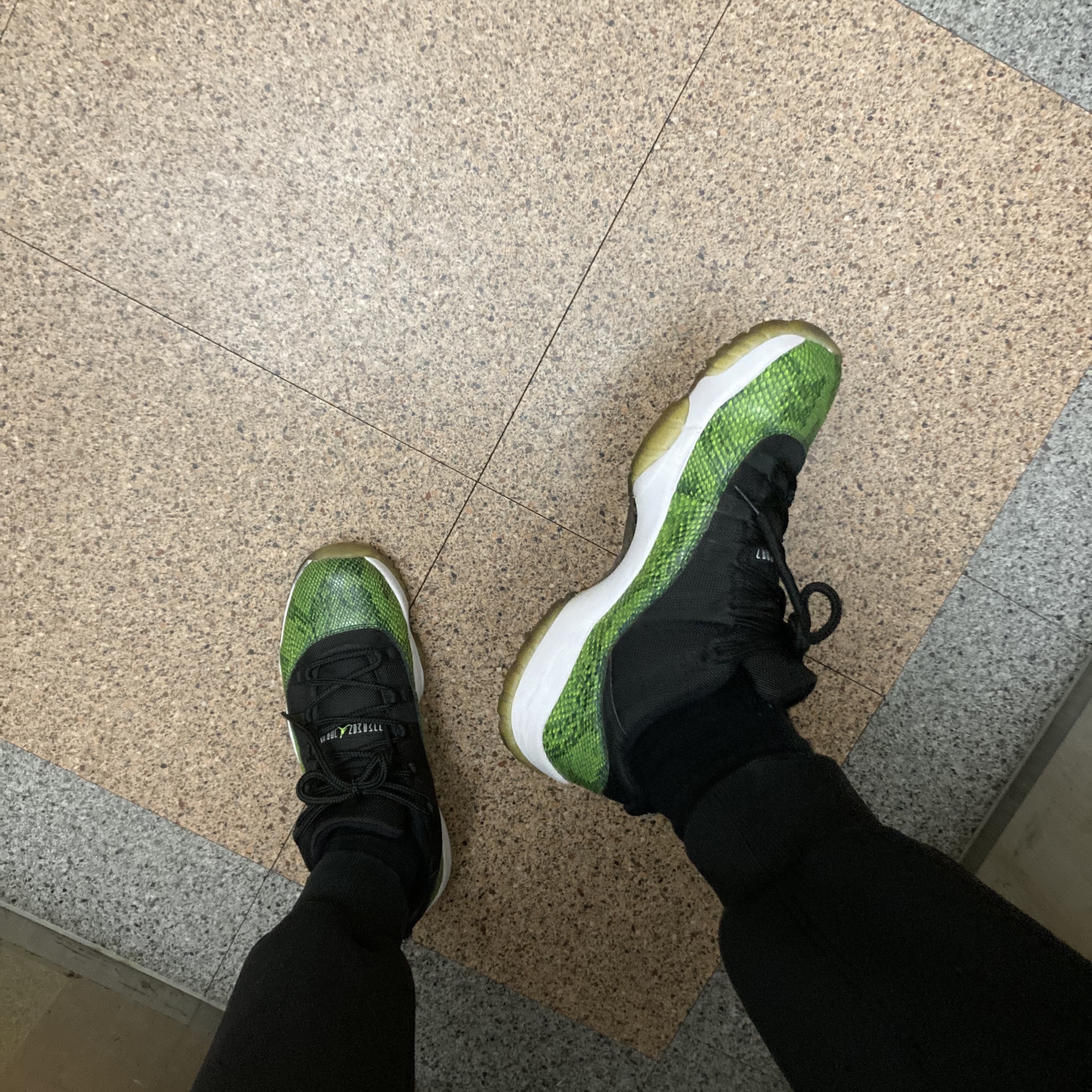 Jordan 11 Retro Low Green Snakeskin 착용 스타일