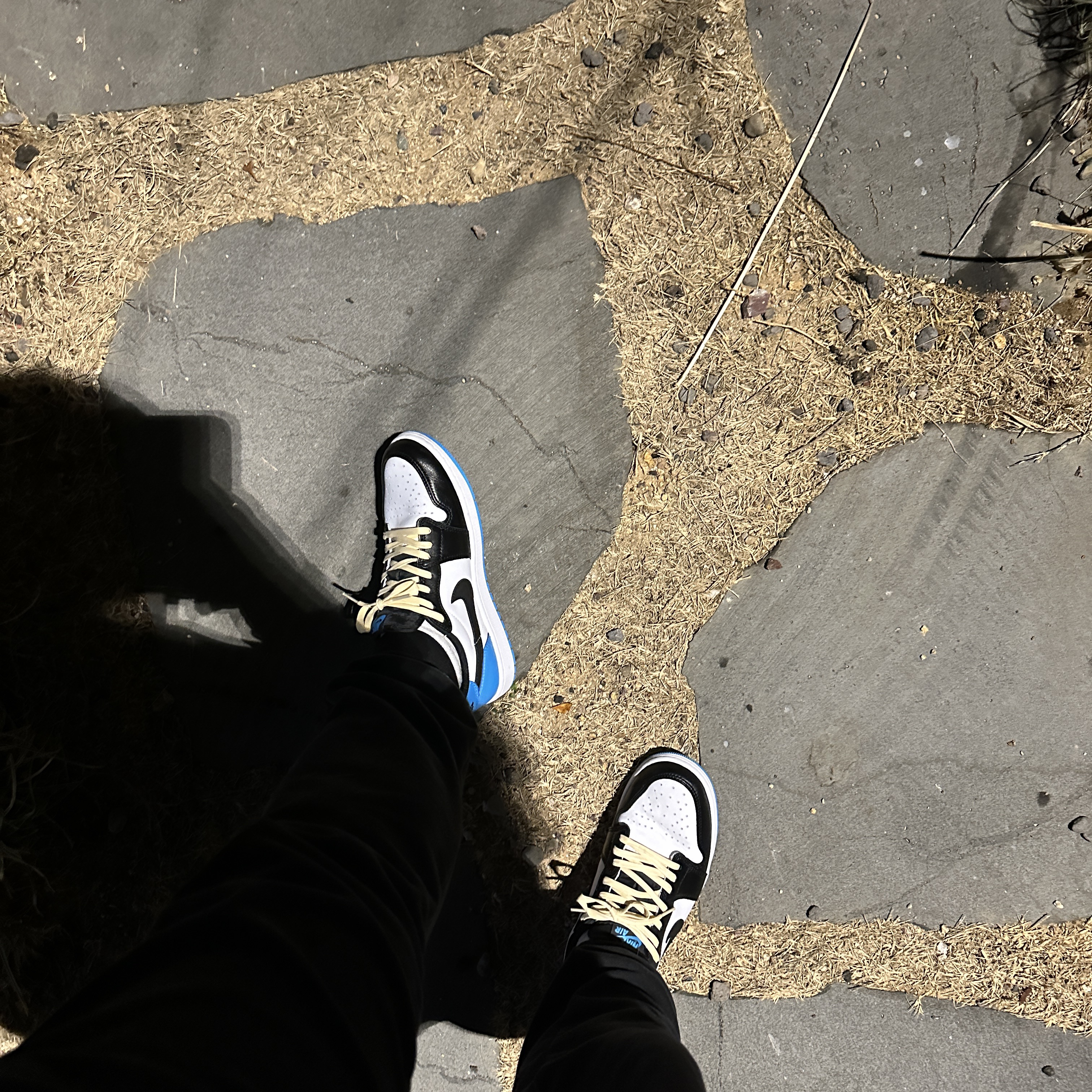 Jordan 1 Retro Low OG Black and Dark Powder Blue 착용 스타일 - 3