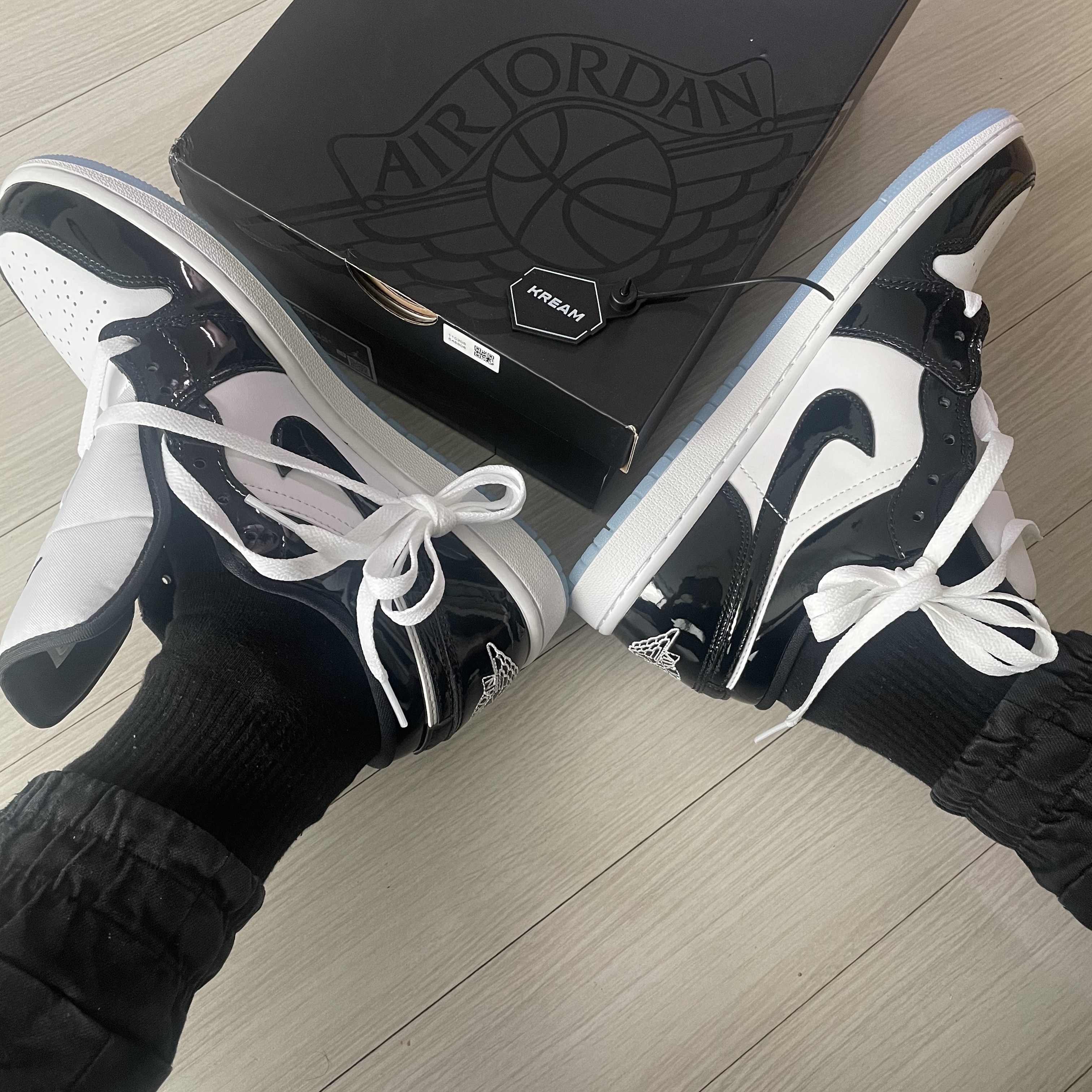 Jordan 1 Low SE Concord 착용 스타일 - 1