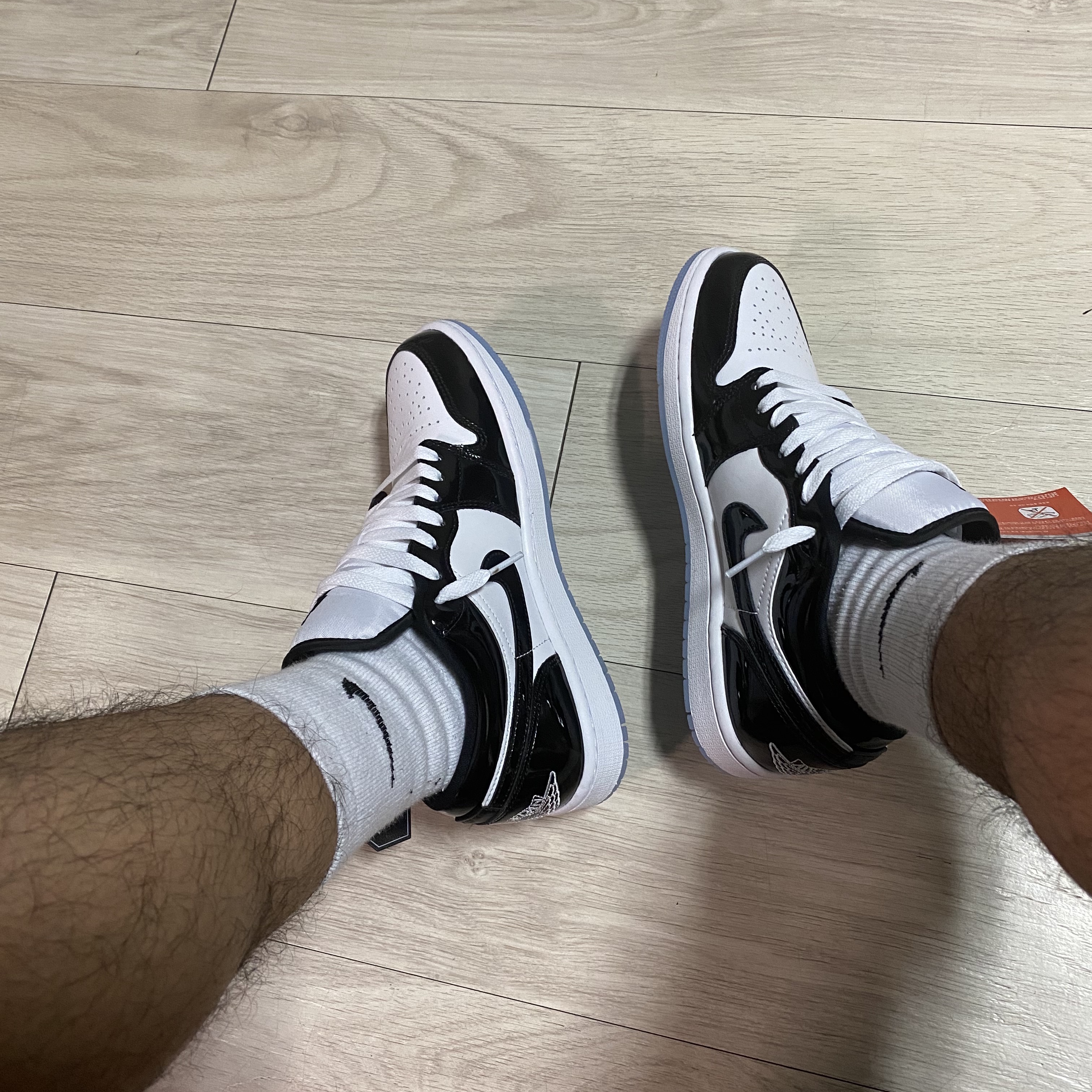 Jordan 1 Low SE Concord 착용 스타일