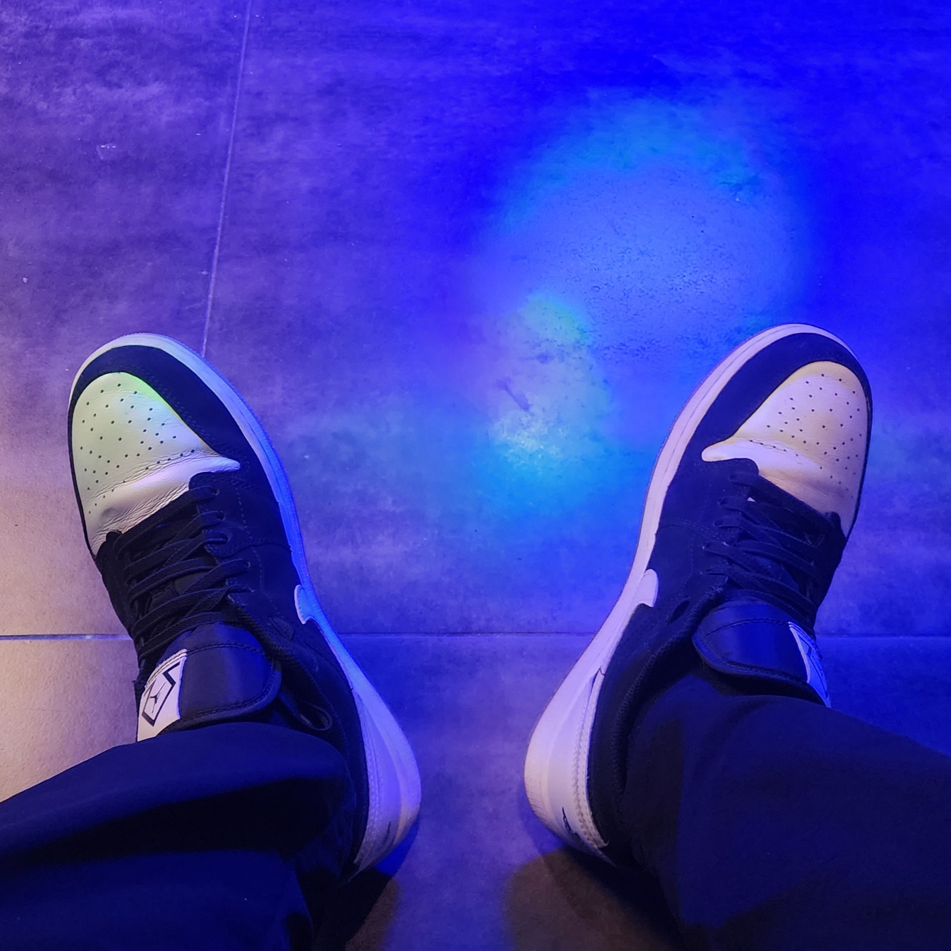 Jordan 1 Low SE Diamond 착용 스타일
