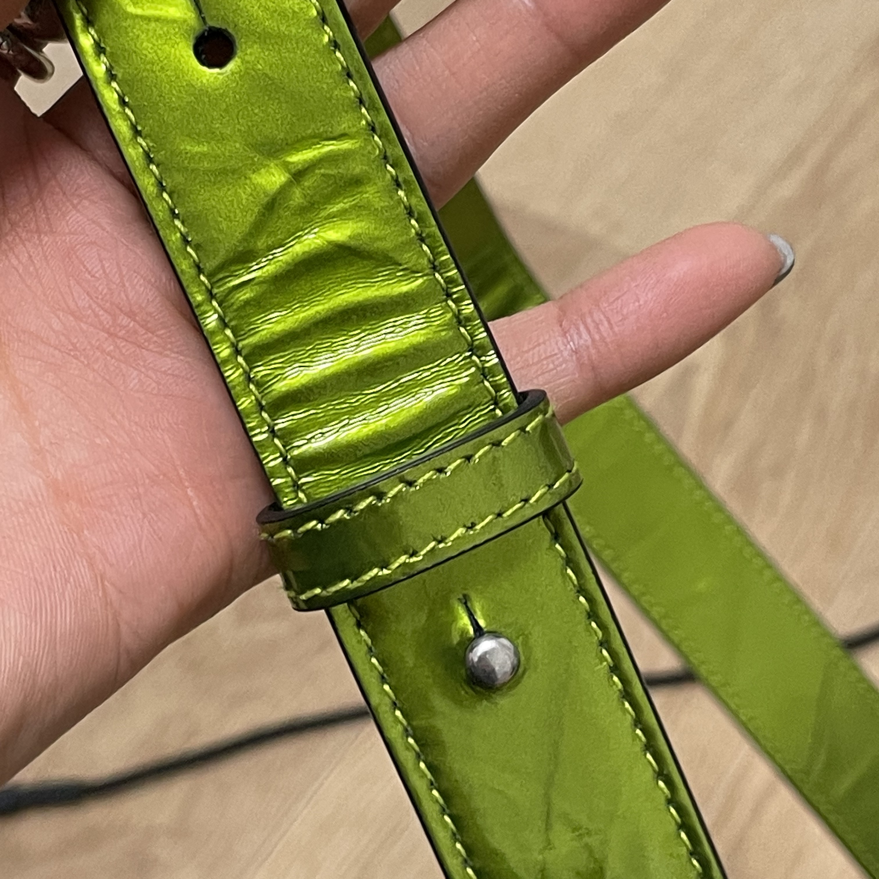 Bottega Veneta Cassette Leather Chlorophyll 착용 스타일 - 3
