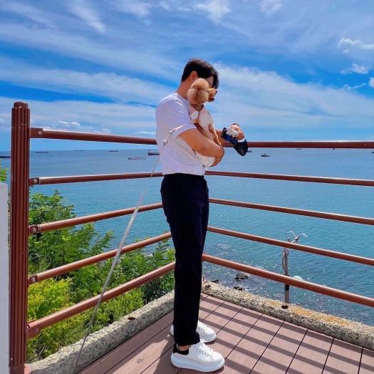 스타일 카드