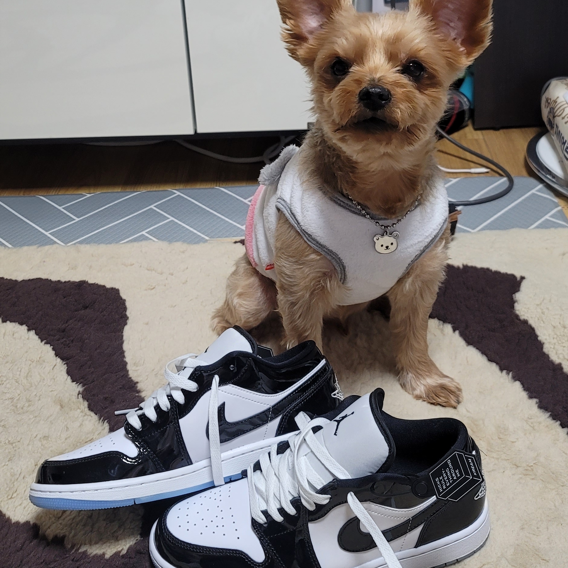 Jordan 1 Low SE Concord 착용 스타일 - 2
