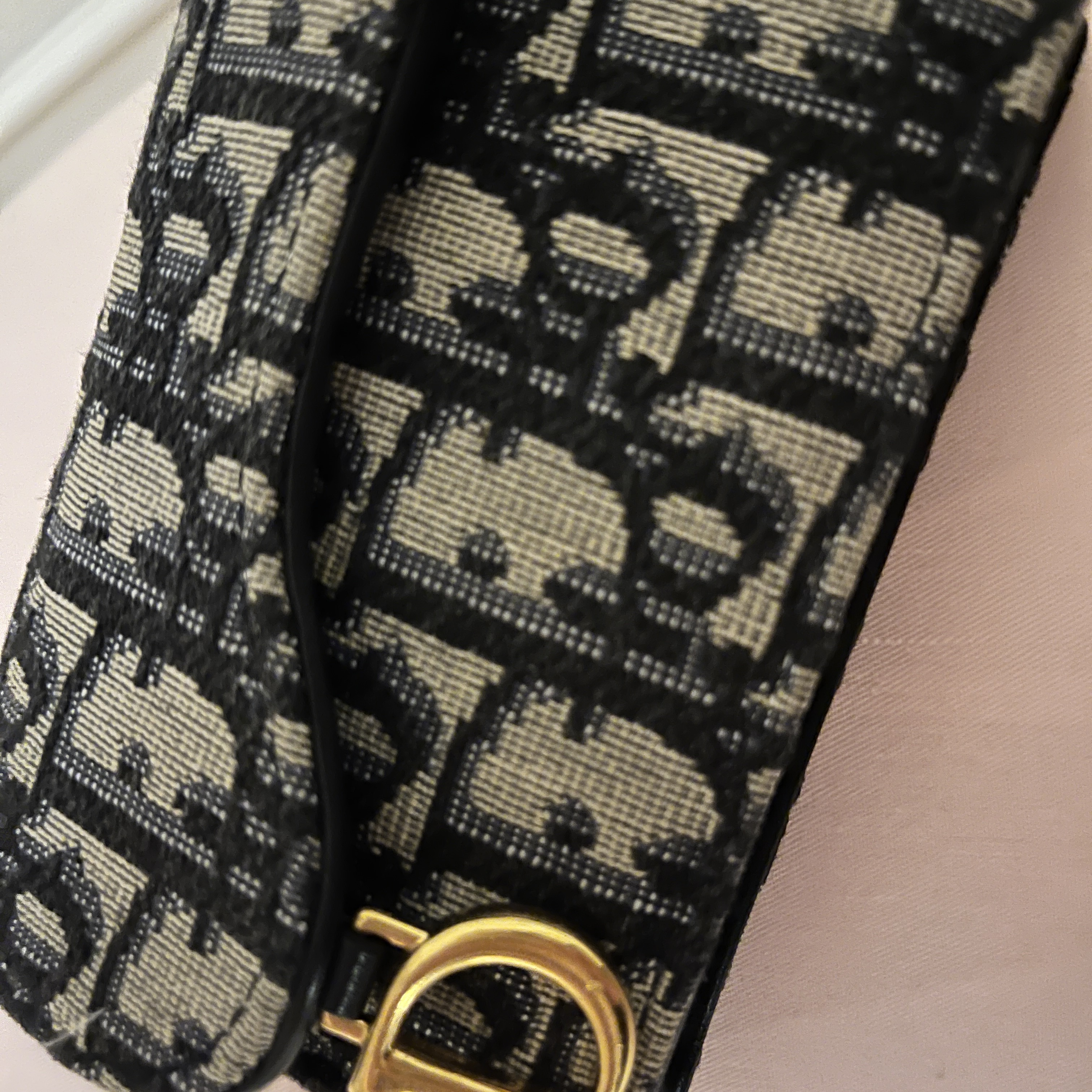 Dior Saddle Flap Card Holder Blue Dior Oblique Jacquard 착용 스타일