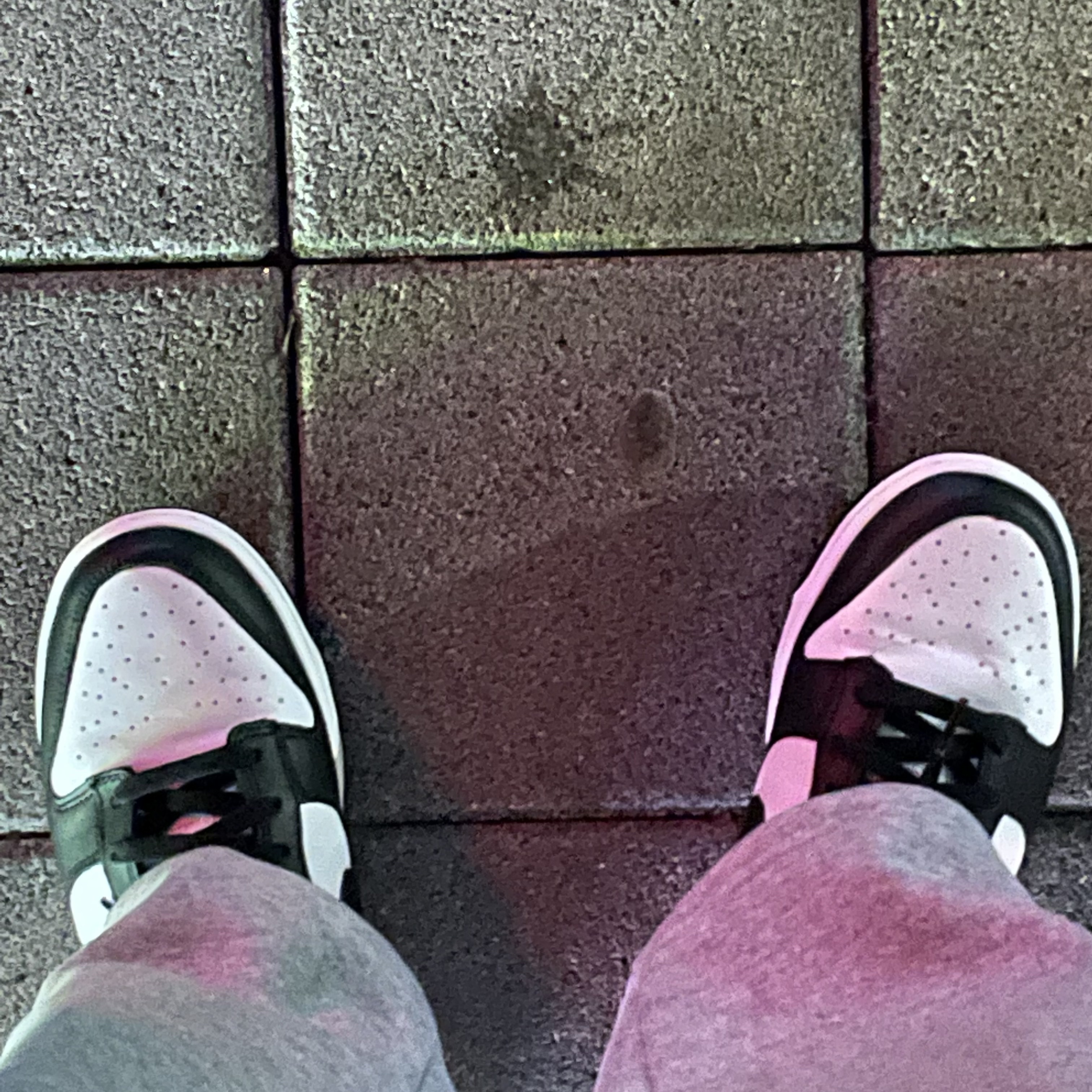 Nike Dunk Low Retro Black 착용 스타일
