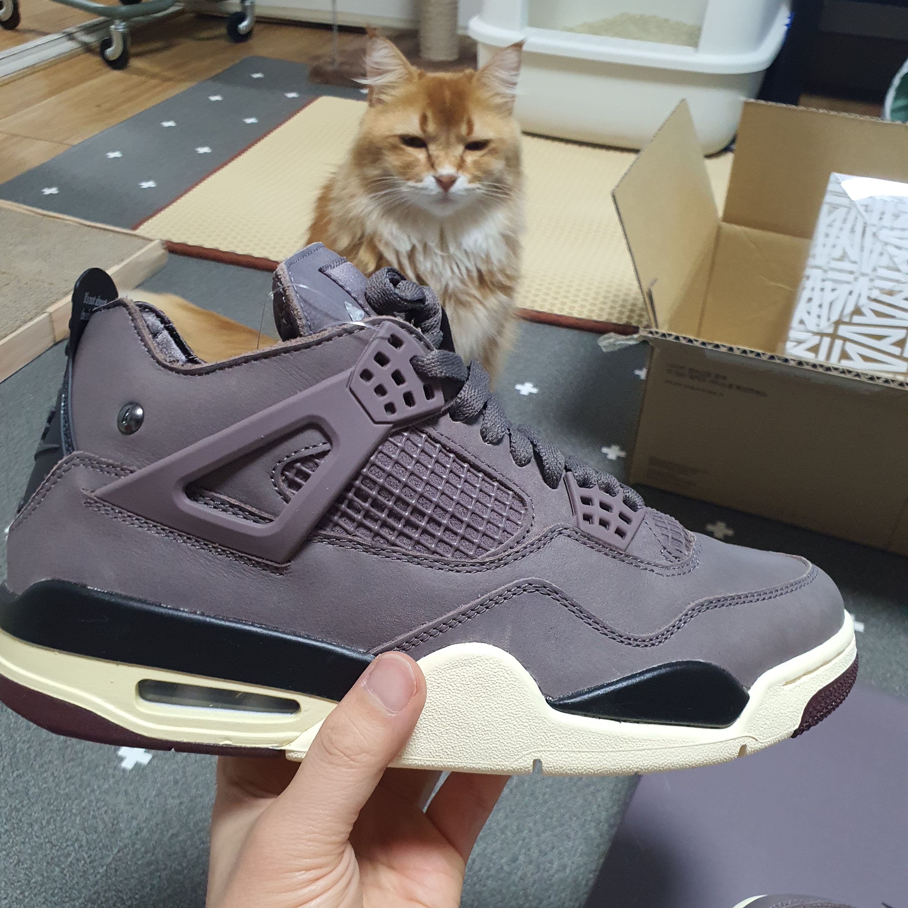 Jordan 4 x A Ma Maniere Retro Violet Ore 착용 스타일