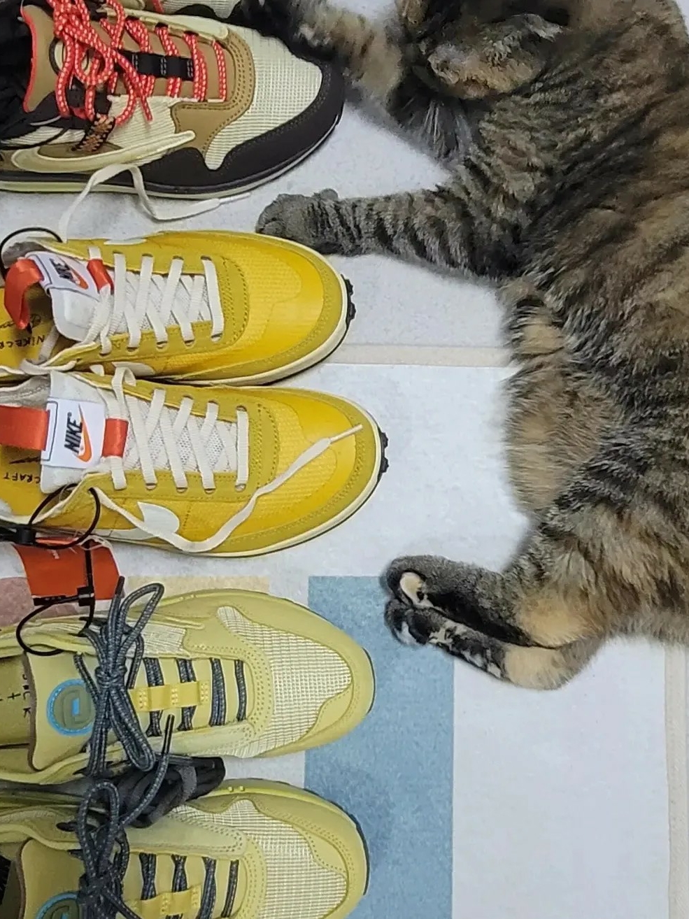 Nike x Travis Scott Air Max 1 Cact.us Brown, Nike x Travis Scott Air Max 1 Cact.us Gold 착용 스타일 - 2