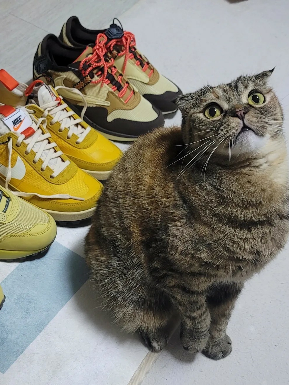 Nike x Travis Scott Air Max 1 Cact.us Brown, Nike x Travis Scott Air Max 1 Cact.us Gold 착용 스타일 - 1
