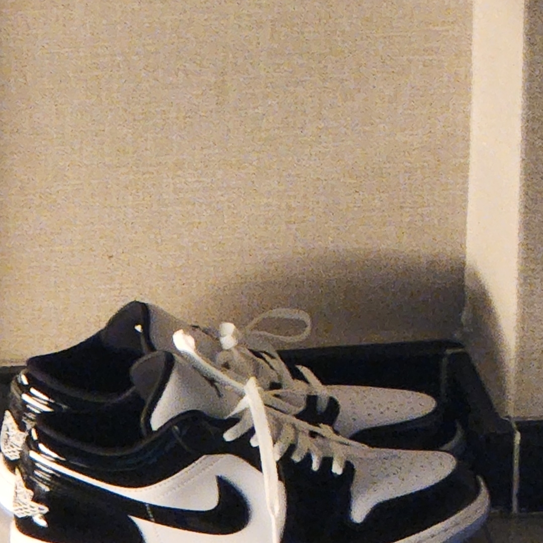 Jordan 1 Low SE Concord 착용 스타일