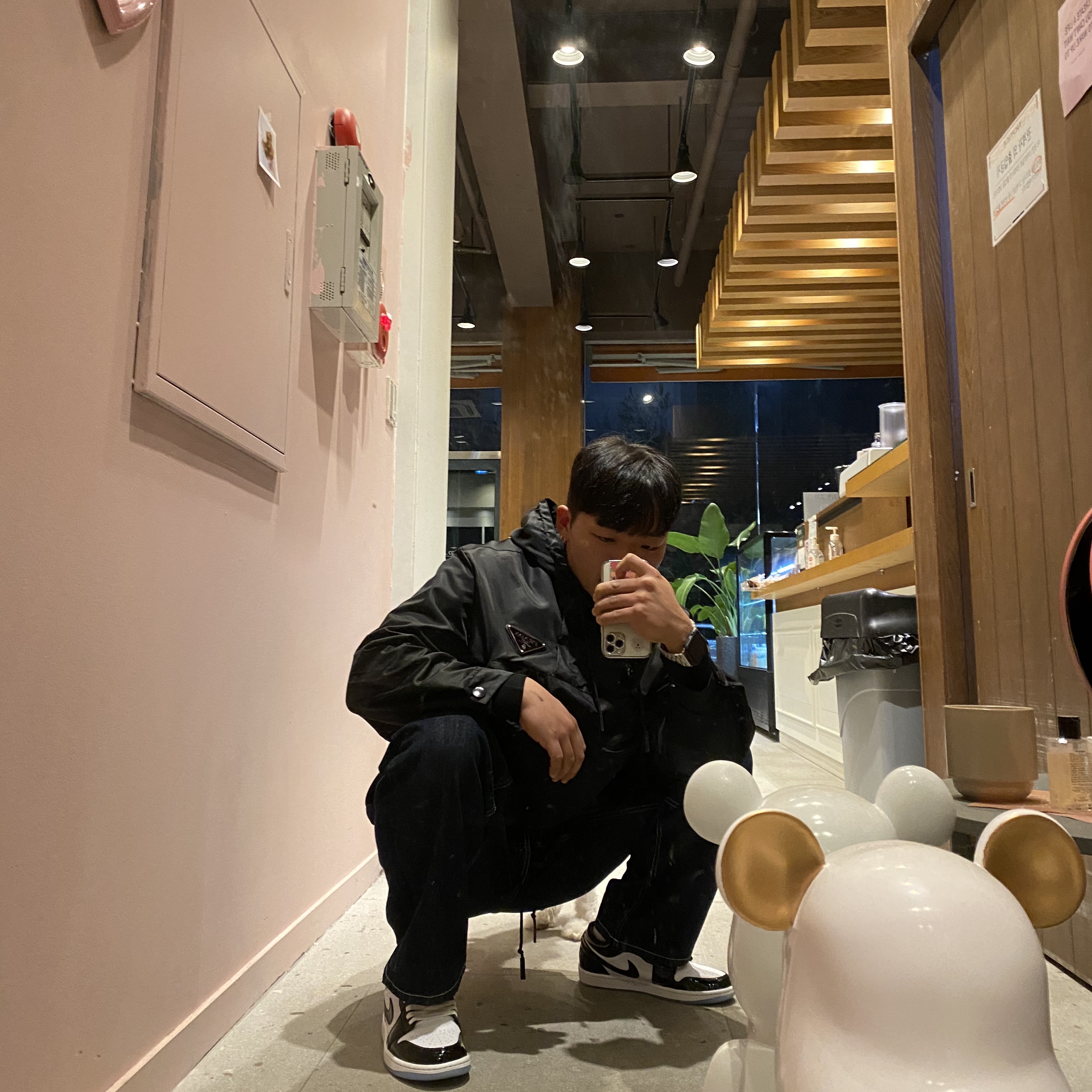 Jordan 1 Low SE Concord 착용 스타일