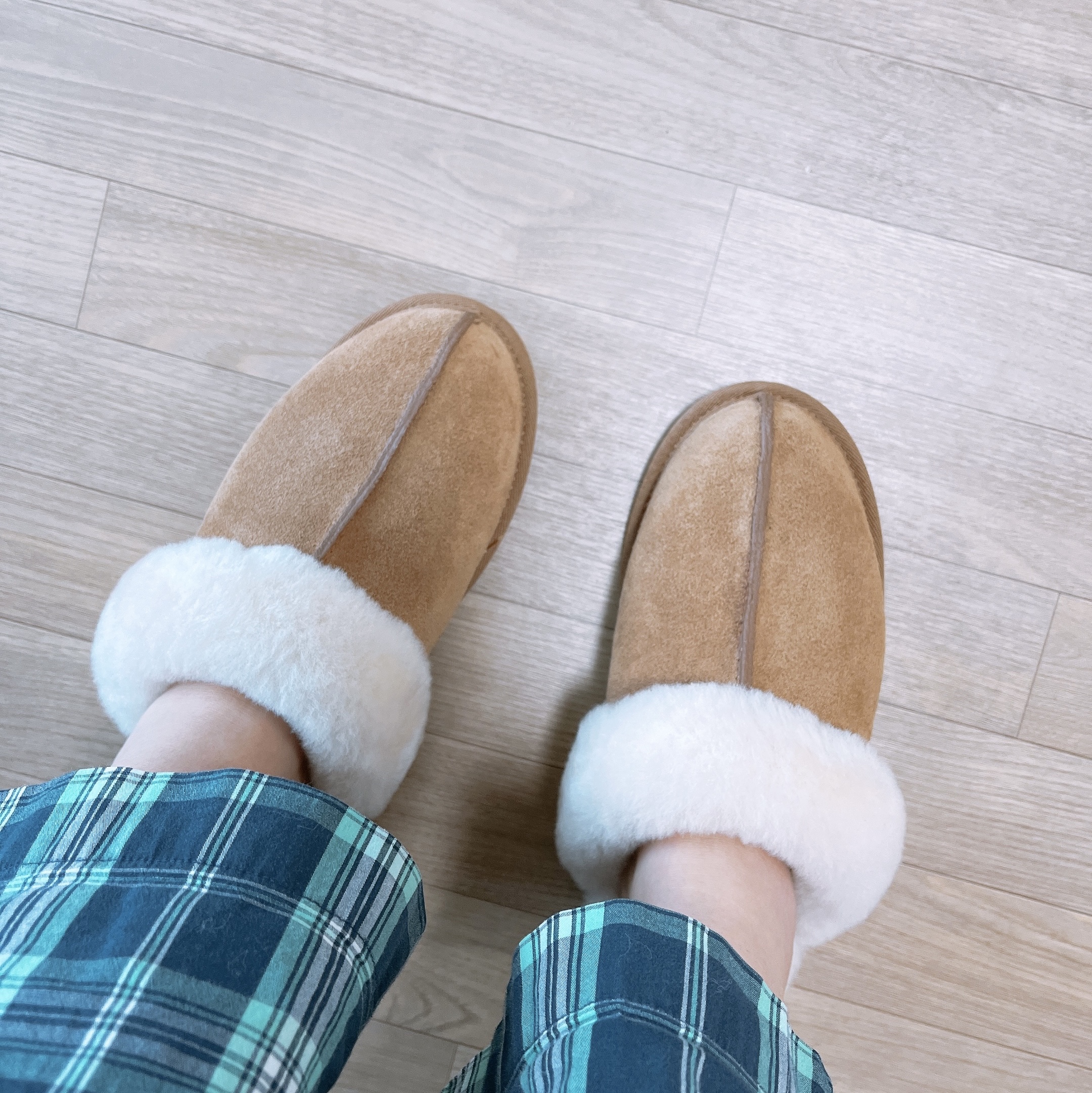 (W) UGG Scuffette II Slipper Chestnut 착용 스타일