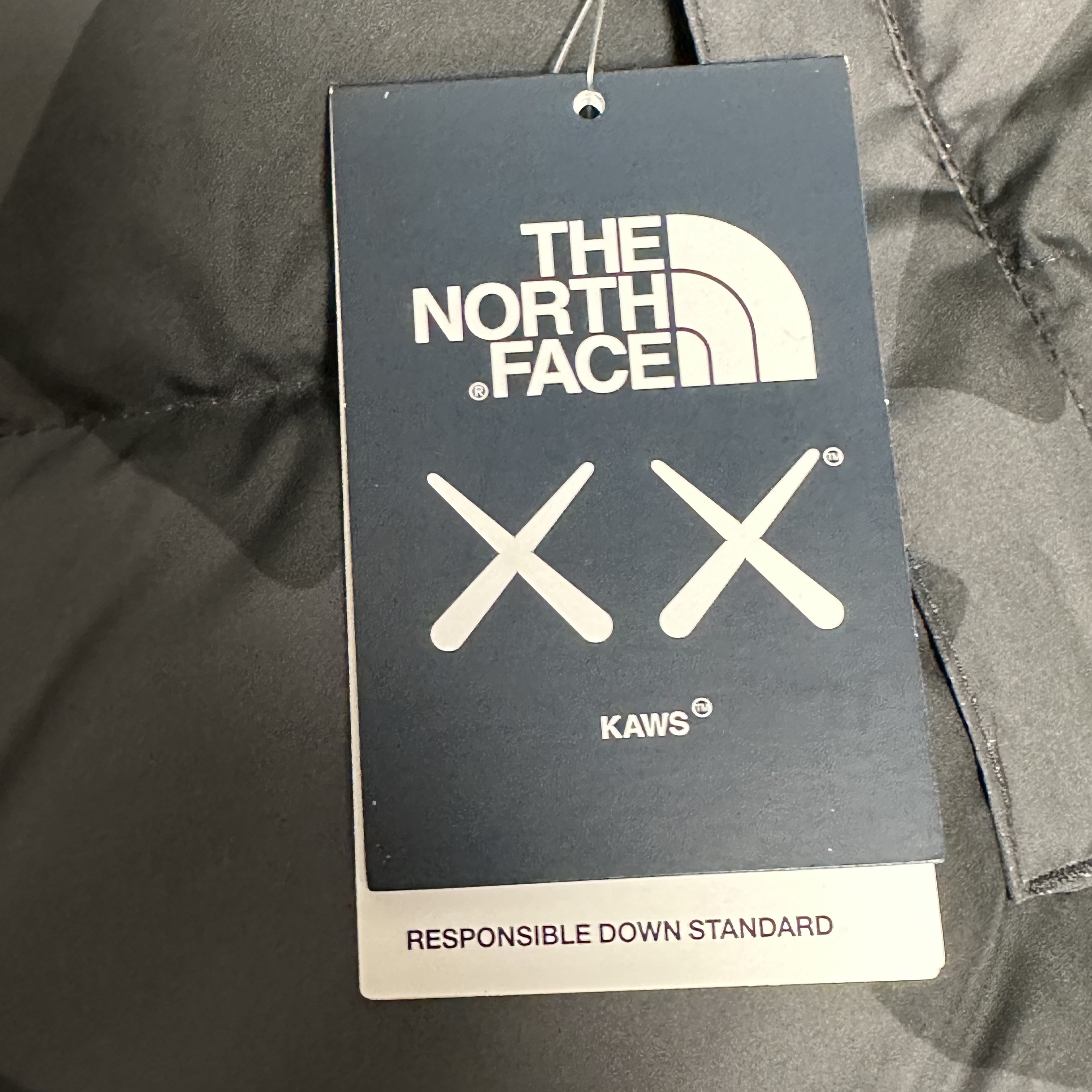 The North Face x Kaws Retro 1996 Nuptse Jacket Black Print - 22FW 착용 스타일