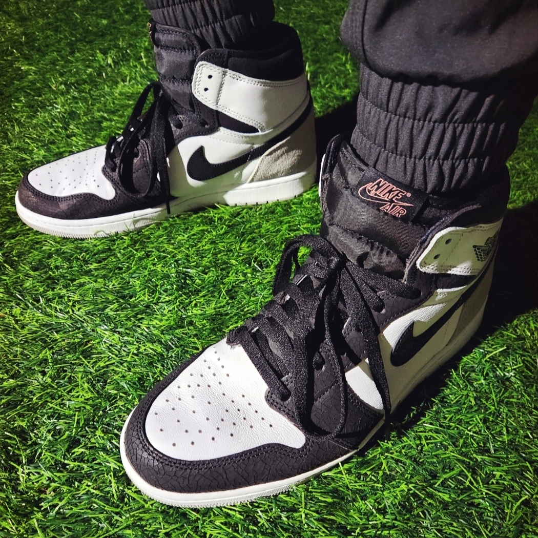 Jordan 1 Retro High OG Bleached Coral 착용 스타일 - 5