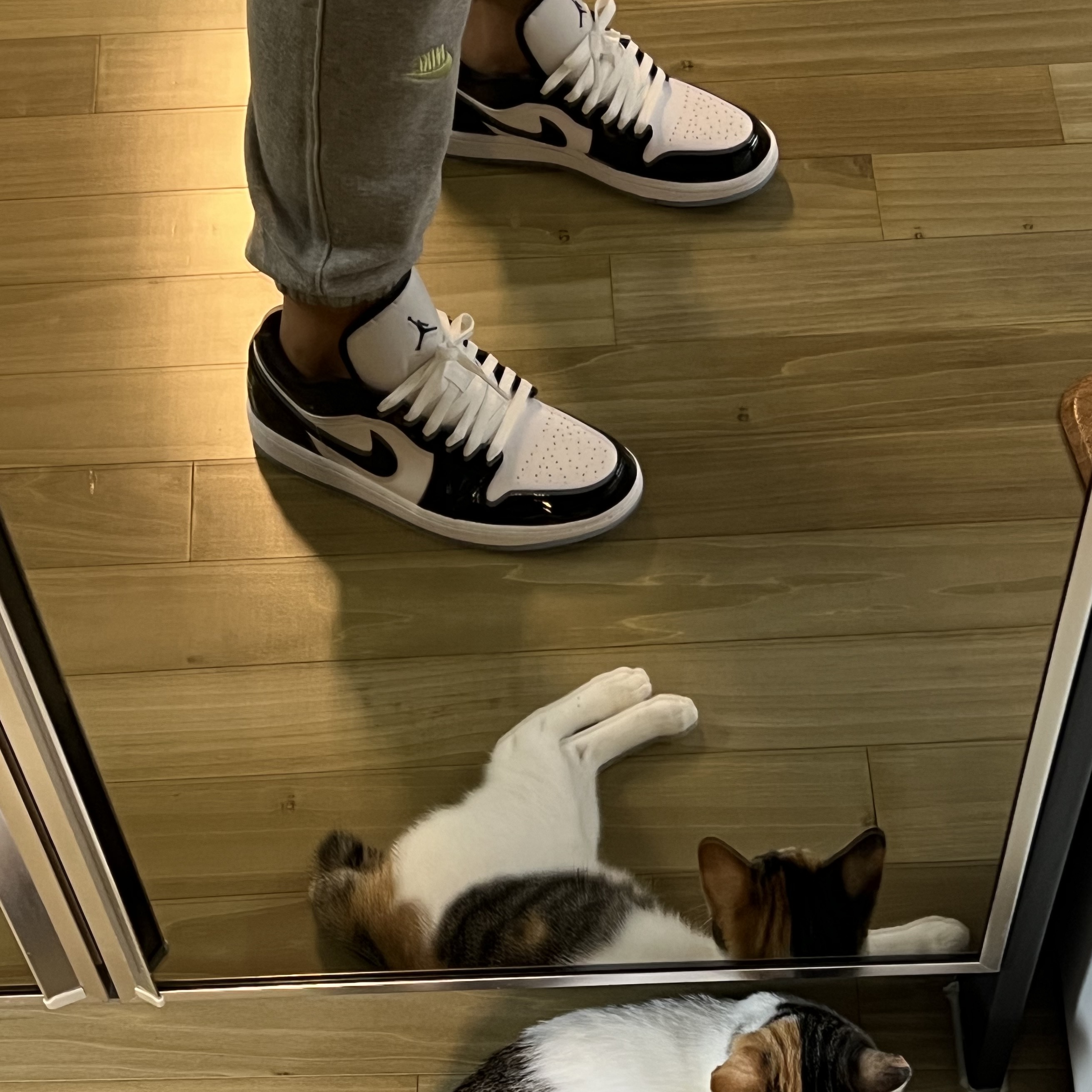 Jordan 1 Low SE Concord 착용 스타일 - 2