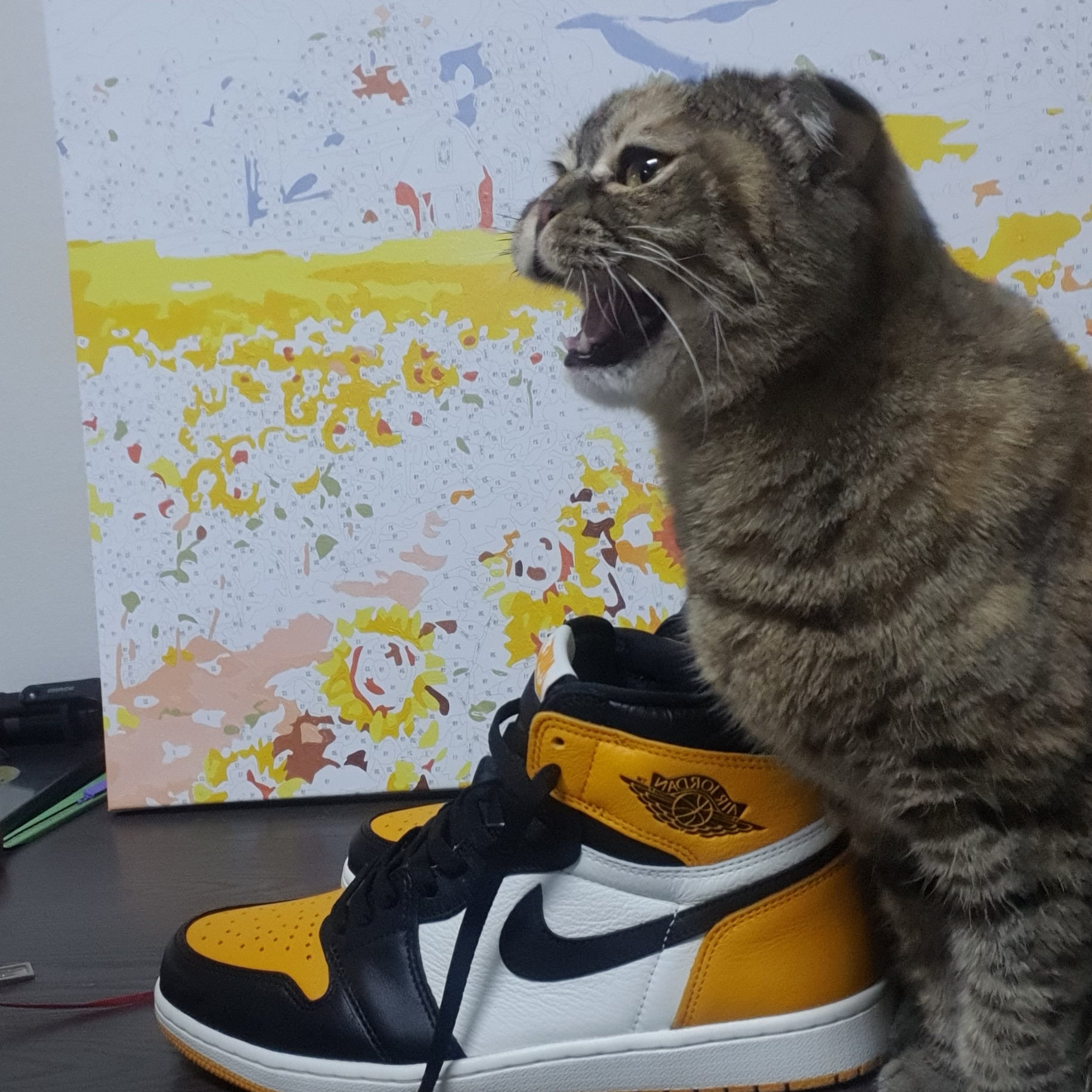 Jordan 1 Retro High OG Taxi 착용 스타일