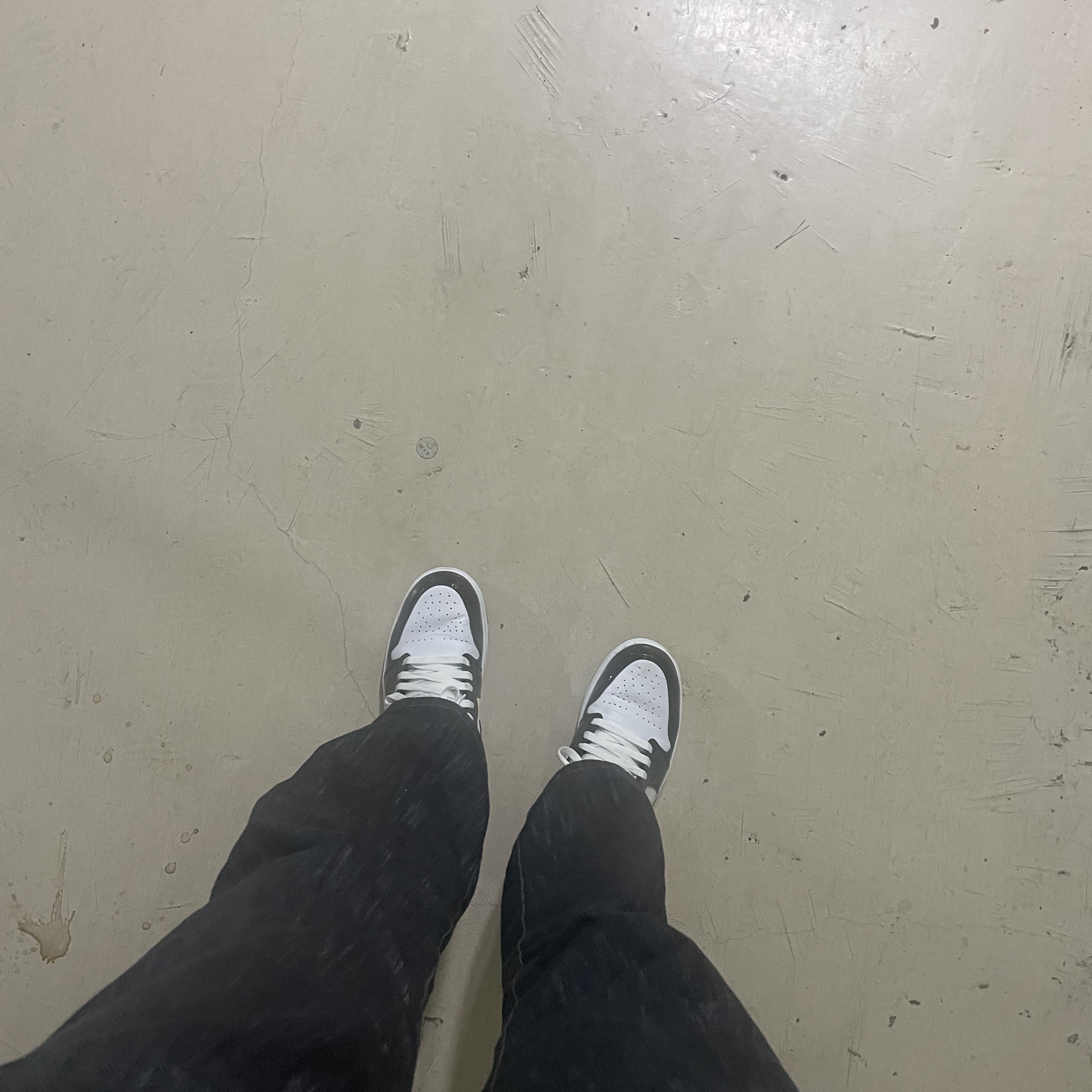 Jordan 1 Low SE Concord 착용 스타일