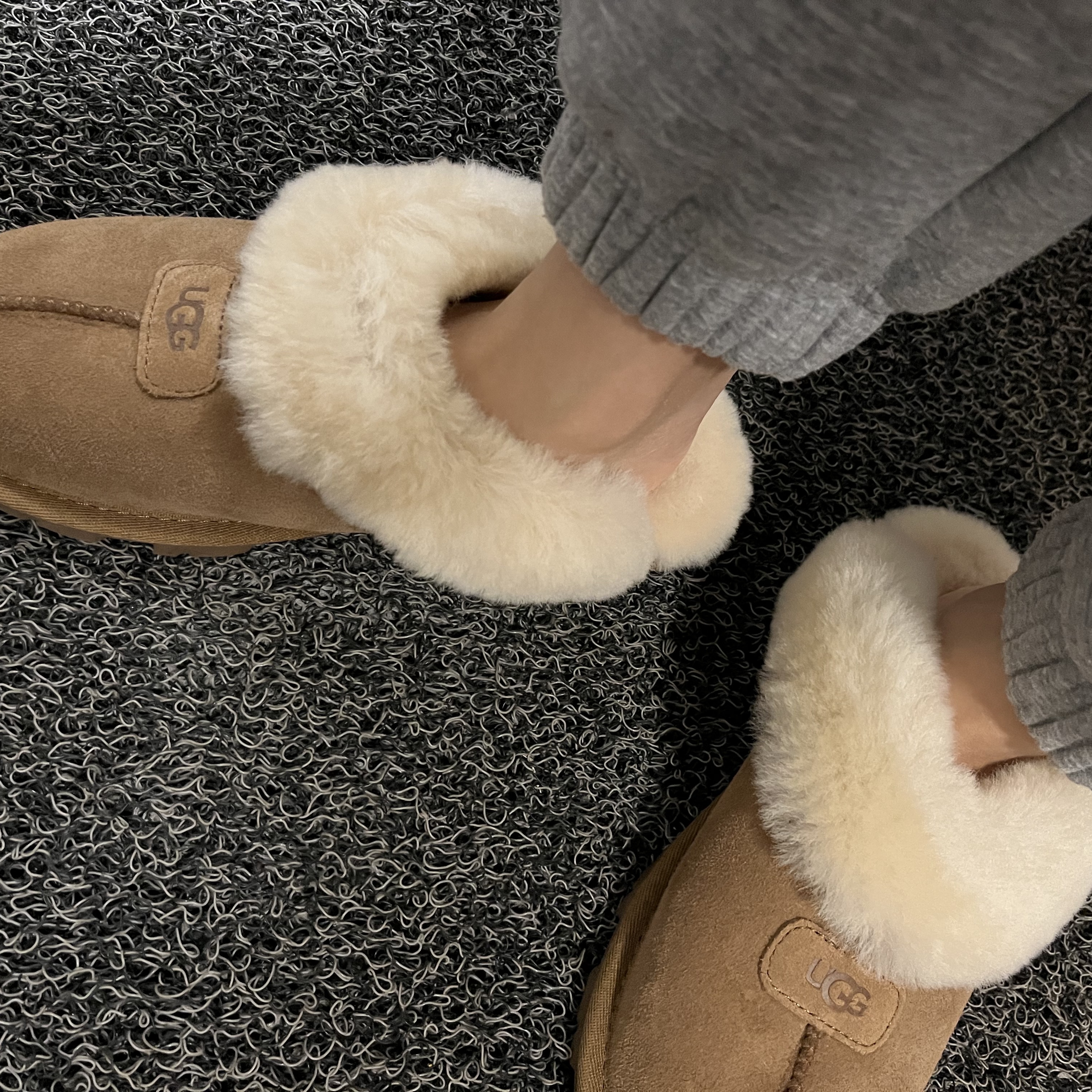 (W) UGG Coquette Slipper Chestnut 착용 스타일