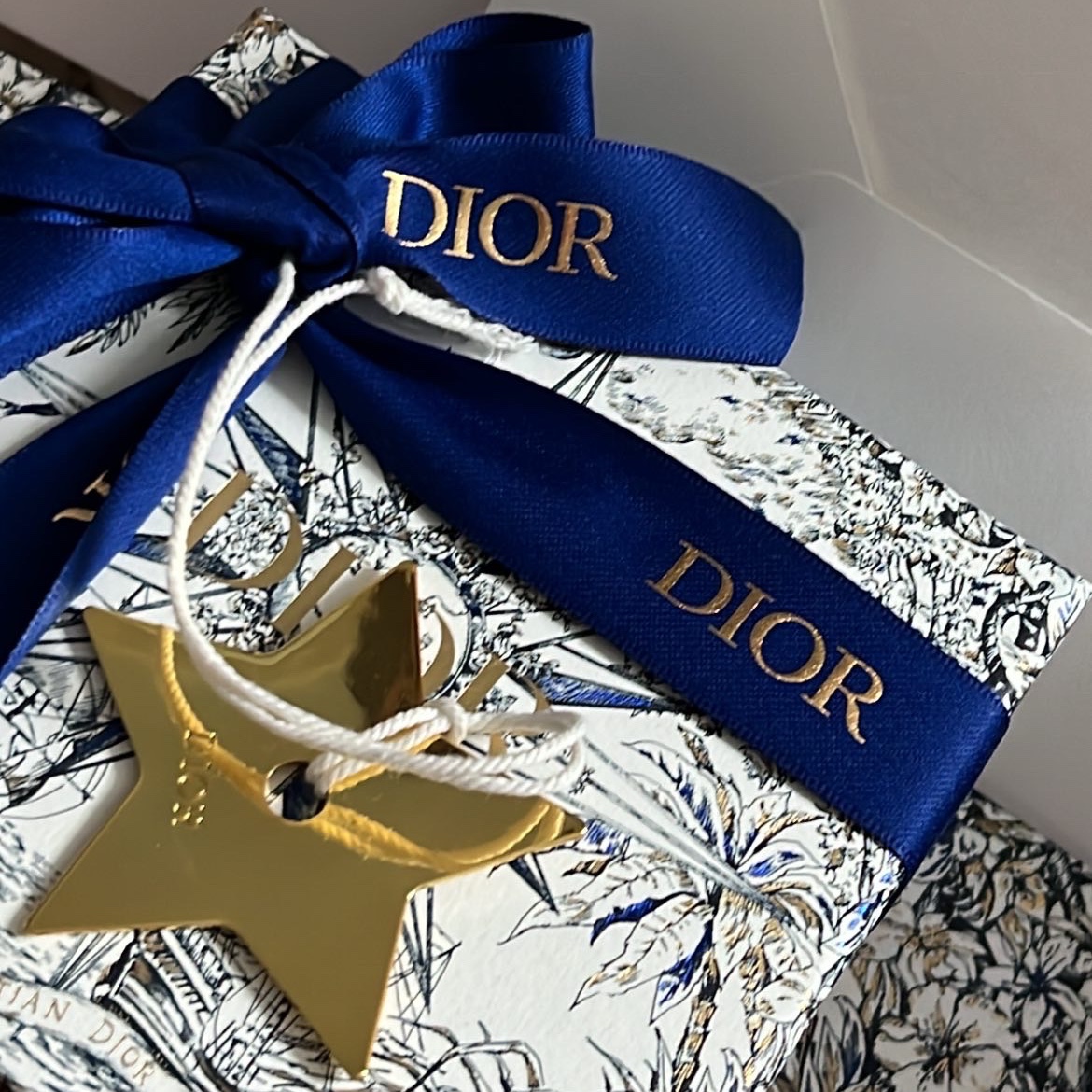 Dior Saddle Flap Card Holder Blue Dior Oblique Jacquard 착용 스타일 - 1