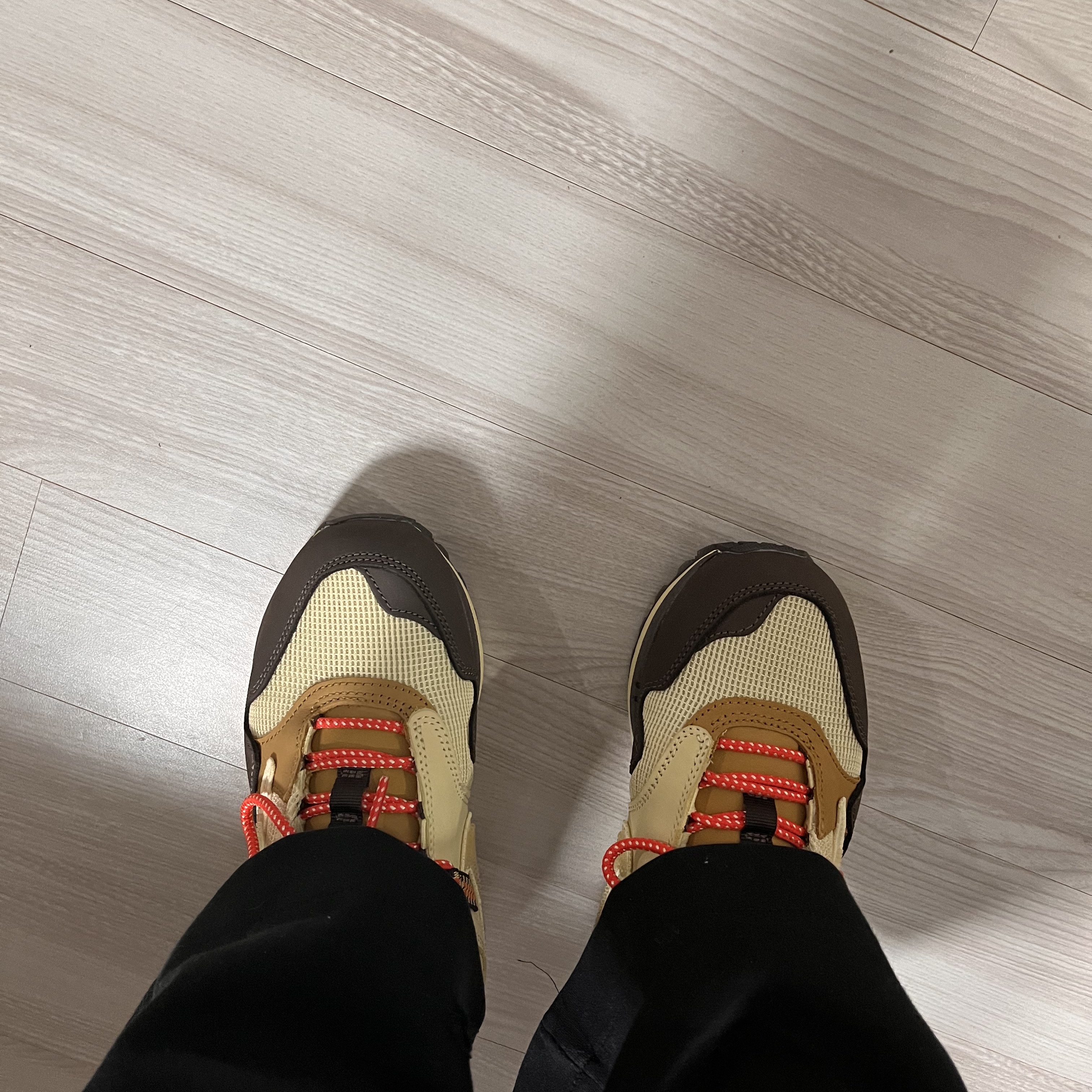 Nike x Travis Scott Air Max 1 Cact.us Brown 착용 스타일 - 2