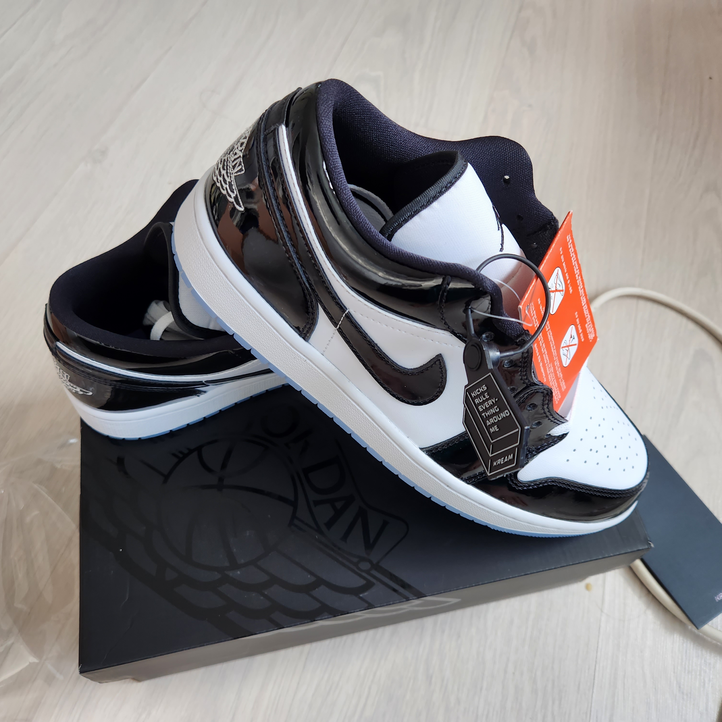 Jordan 1 Low SE Concord 착용 스타일