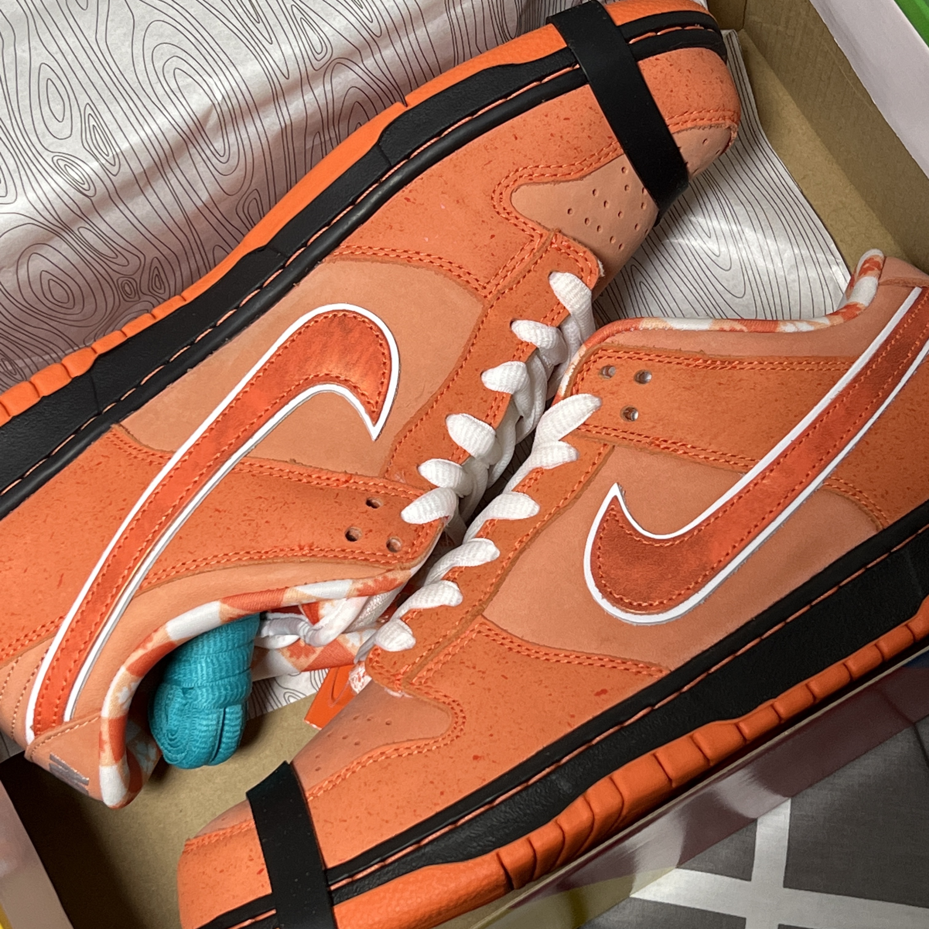 Nike x Concepts SB Dunk Low Orange Lobster (Regular Box) 착용 스타일