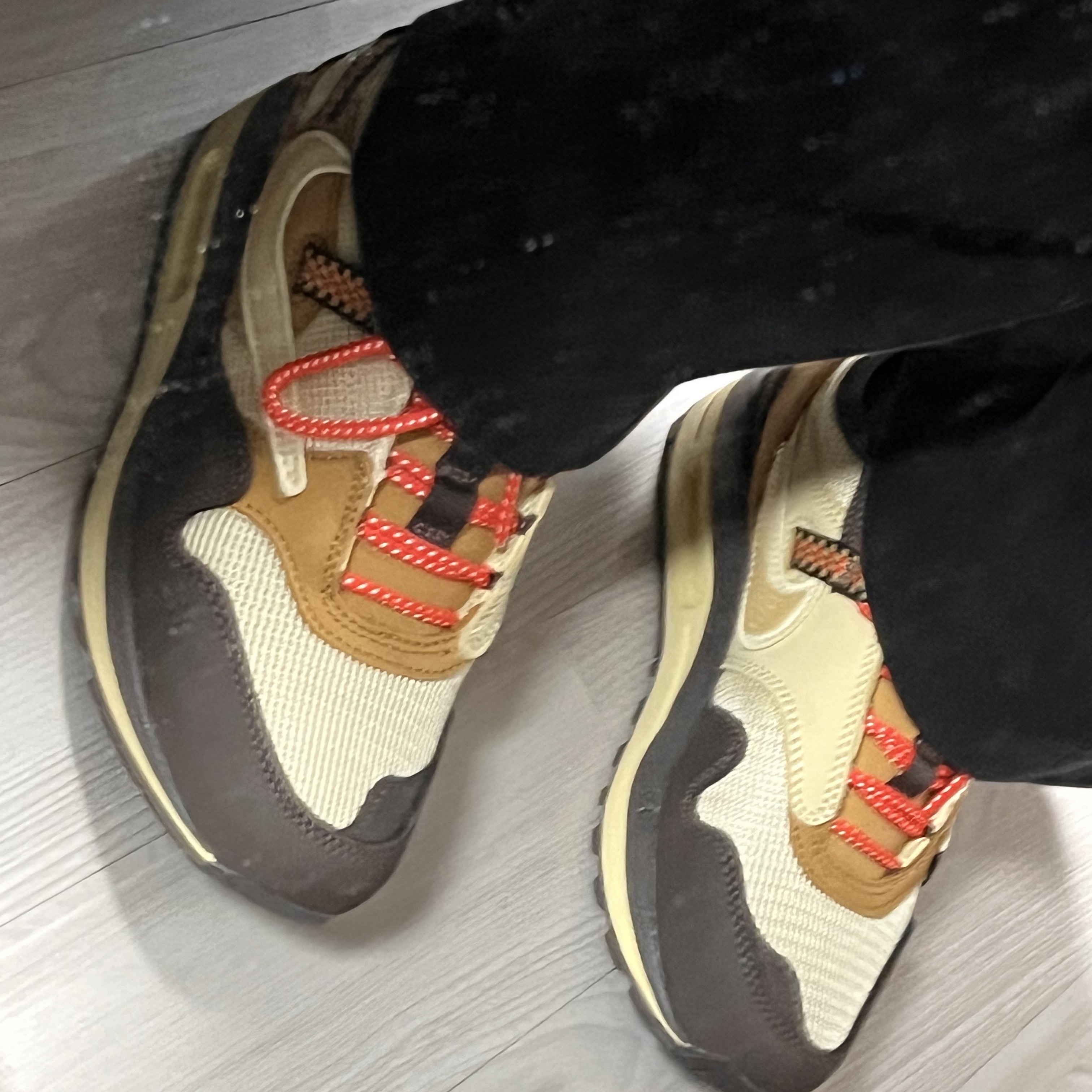 Nike x Travis Scott Air Max 1 Cact.us Brown 착용 스타일 - 3