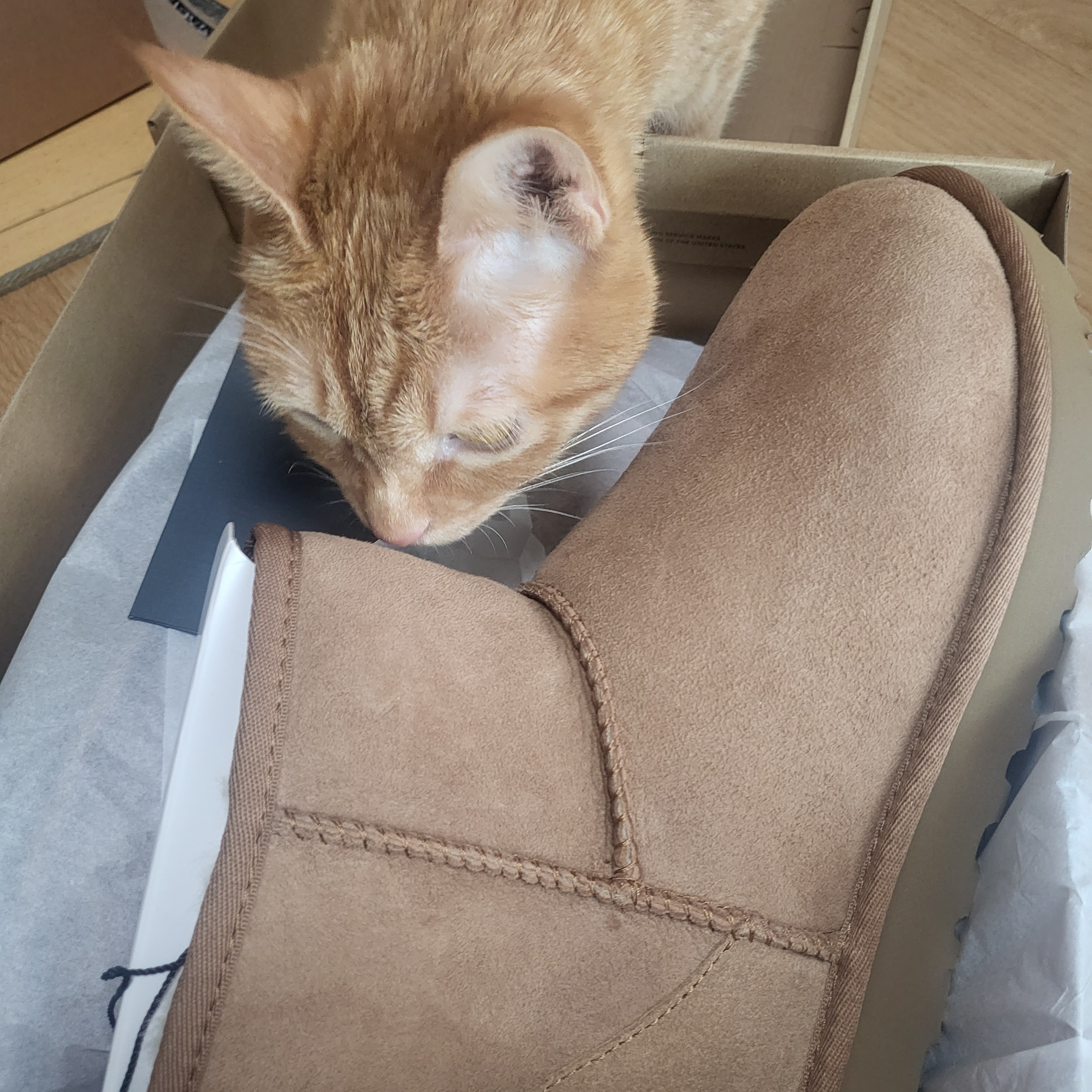 (W) UGG Classic Mini II Boots Chestnut 착용 스타일