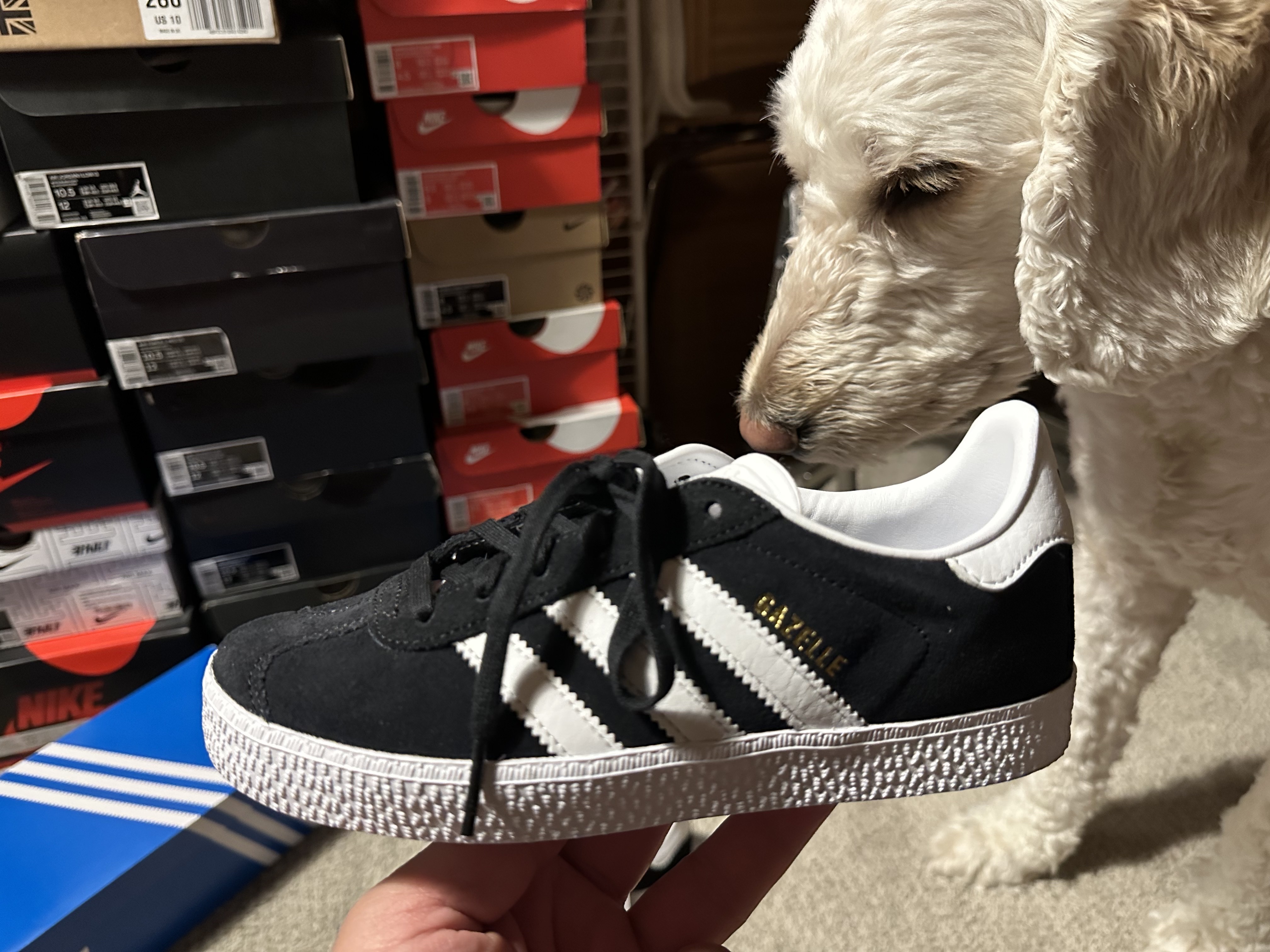 Adidas Gazelle Core Black White 착용 스타일 - 5