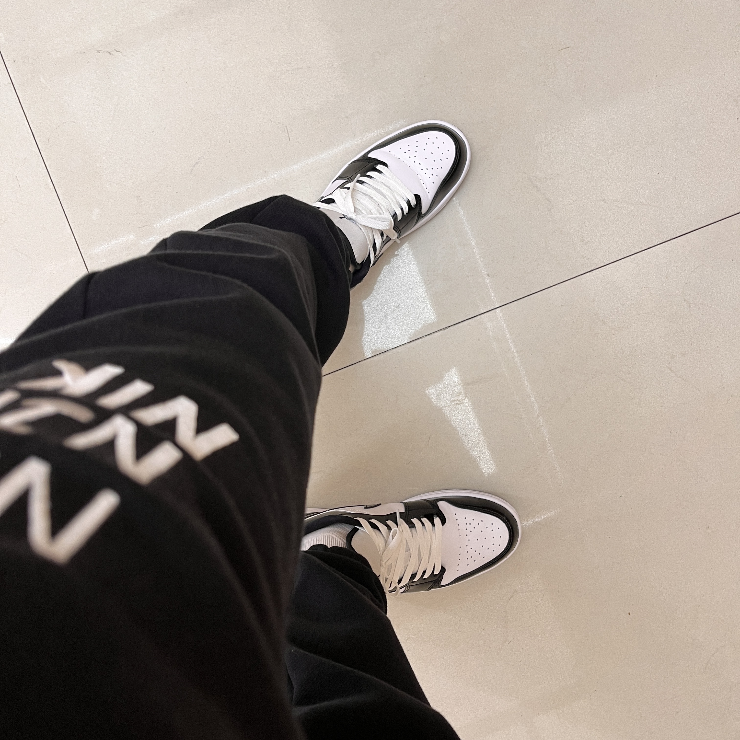 Jordan 1 Low SE Concord 착용 스타일