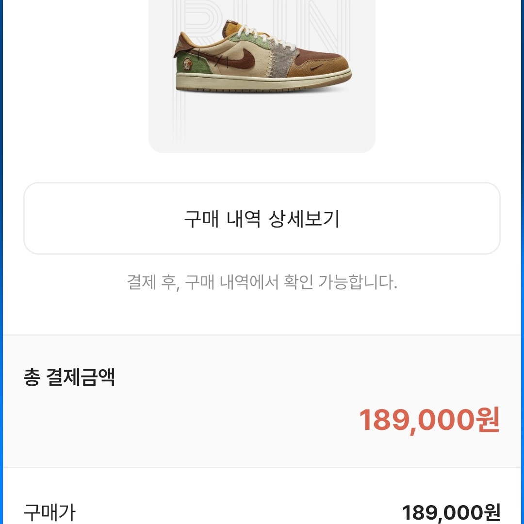 Jordan 1 x Zion Williamson Retro Low OG Flax and Oil Green 착용 스타일