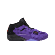 Jordan Zion 2 PF Court Purple Black