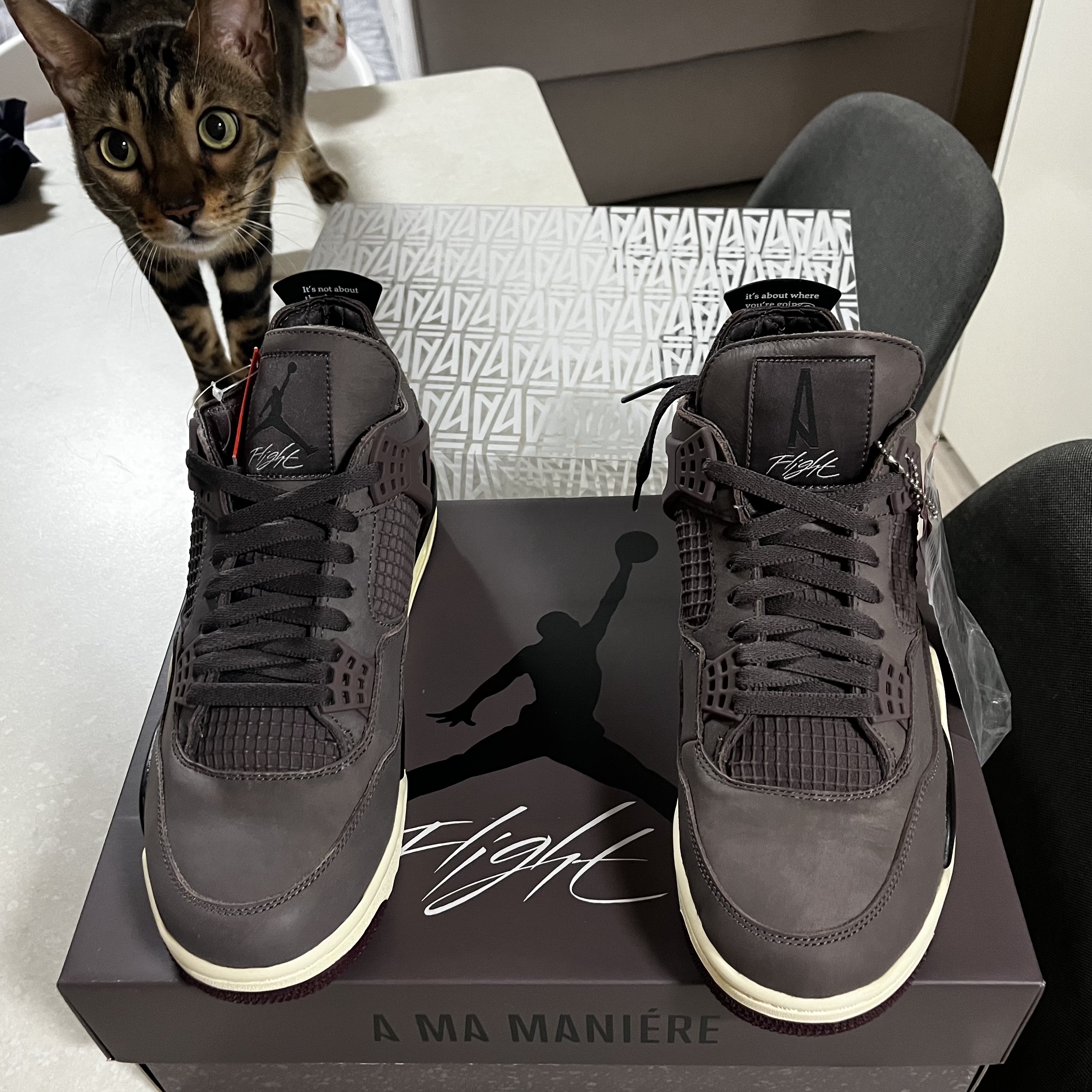 Jordan 4 x A Ma Maniere Retro Violet Ore 착용 스타일 - 1